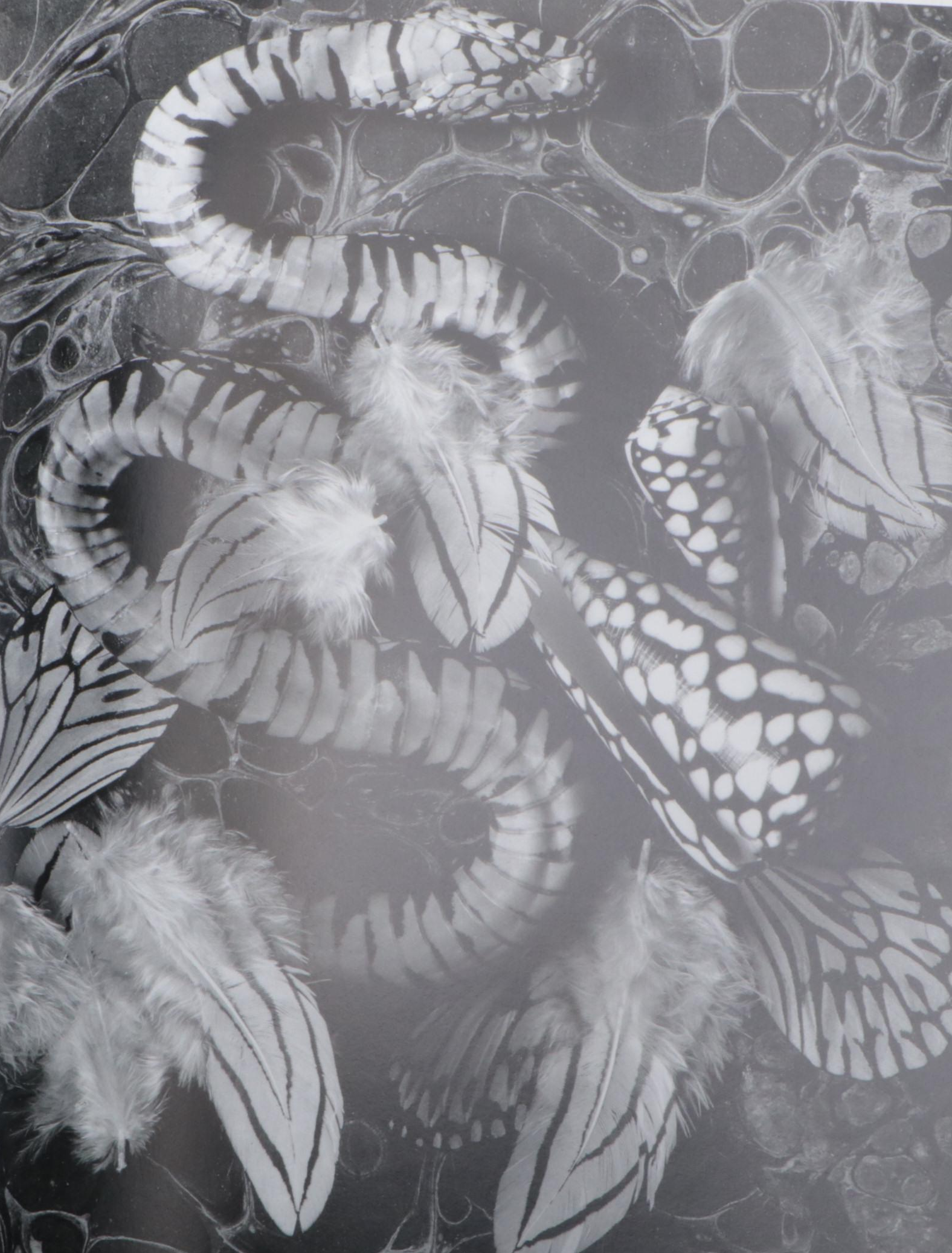 "Broken Spirits" by Eberhard Grames, 1995