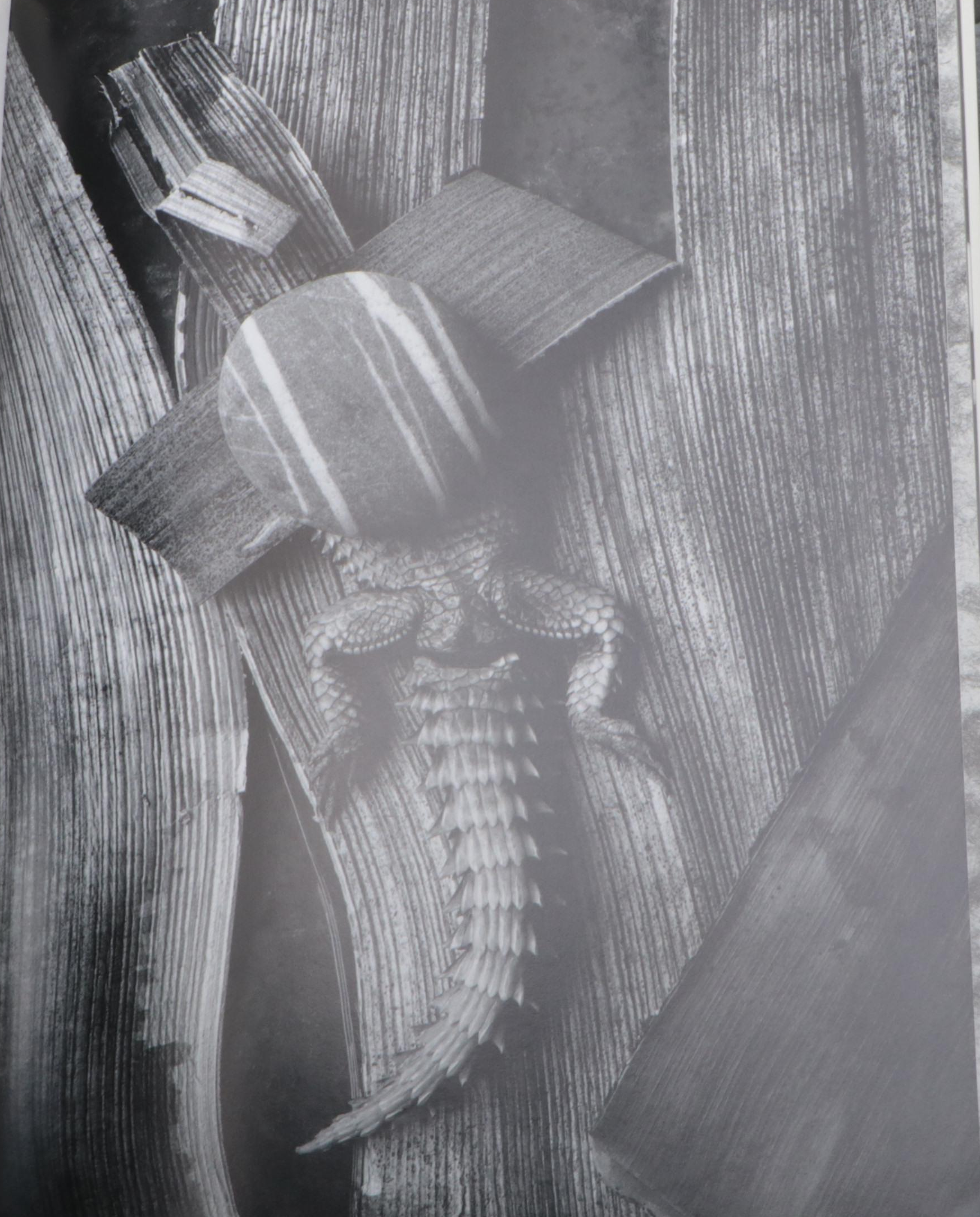 "Broken Spirits" by Eberhard Grames, 1995