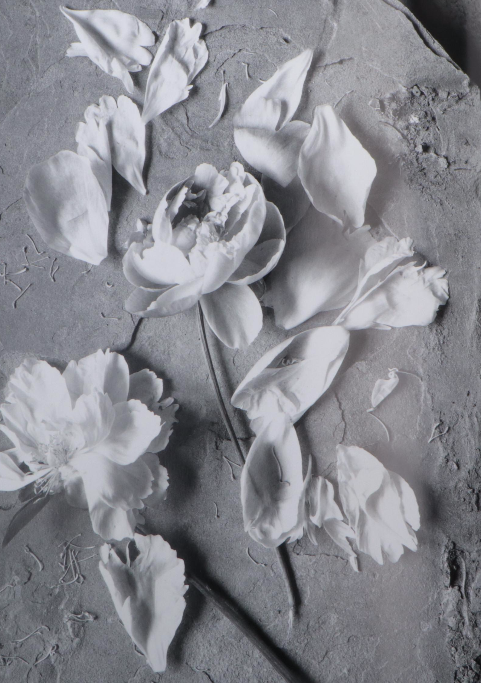 "Broken Spirits" by Eberhard Grames, 1995