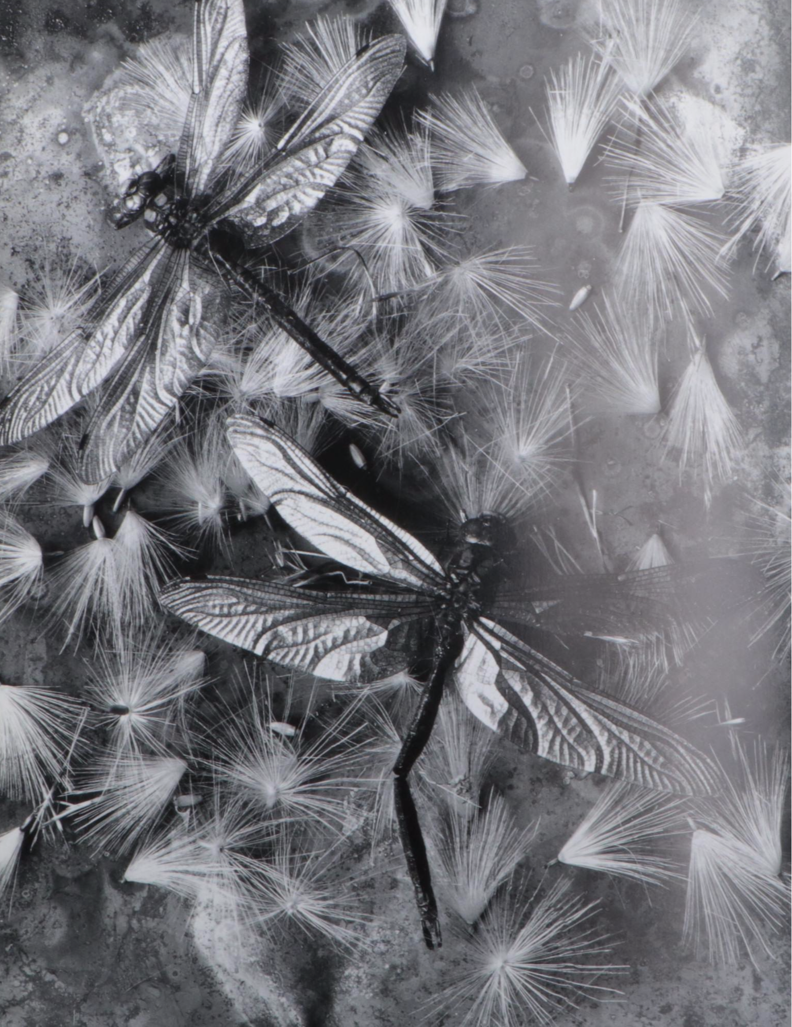 "Broken Spirits" by Eberhard Grames, 1995