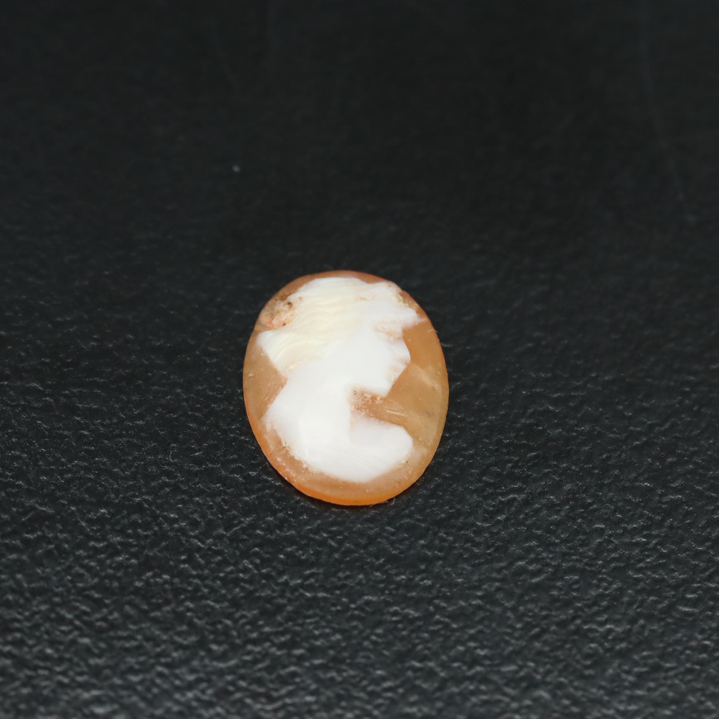 Loose Shell Cameo