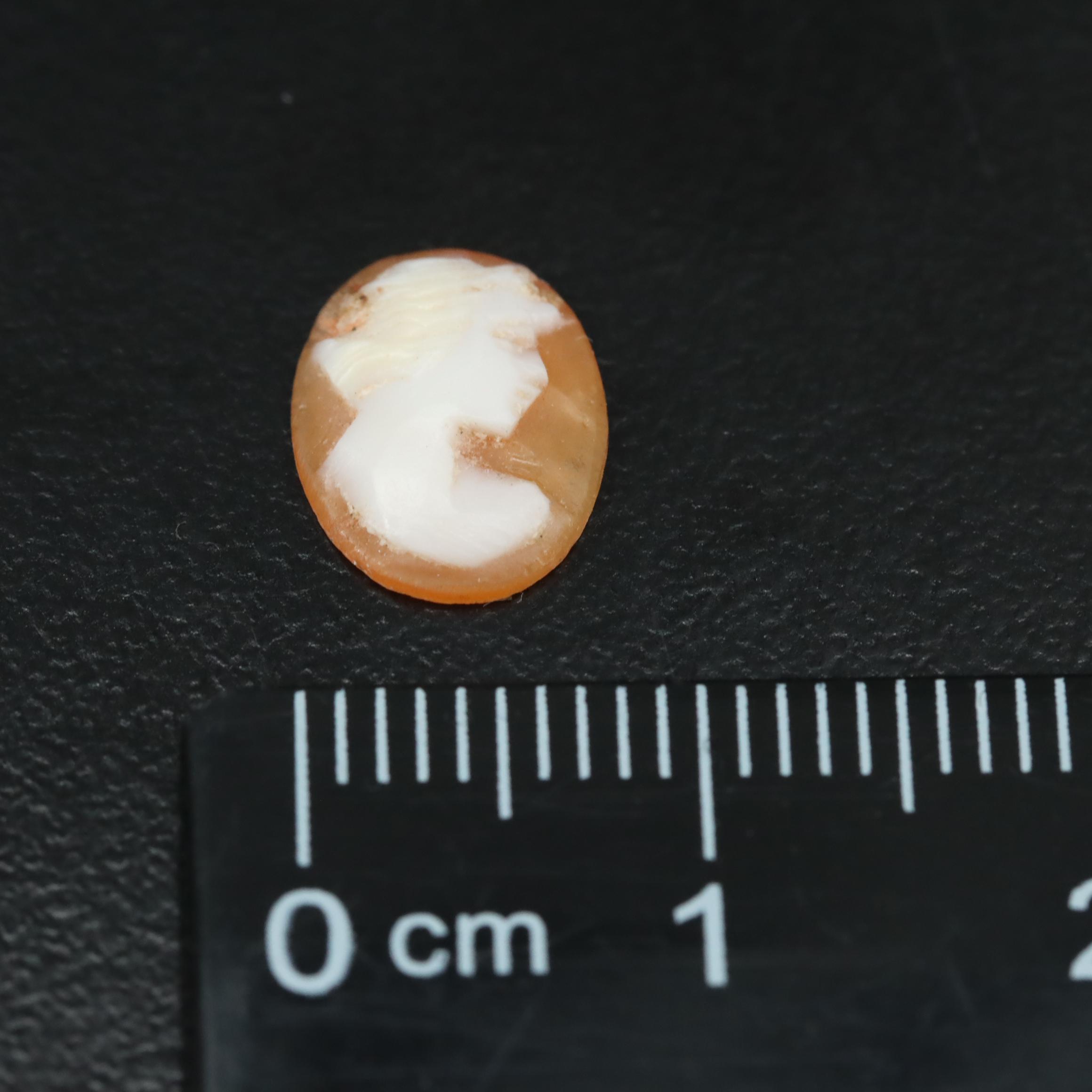 Loose Shell Cameo