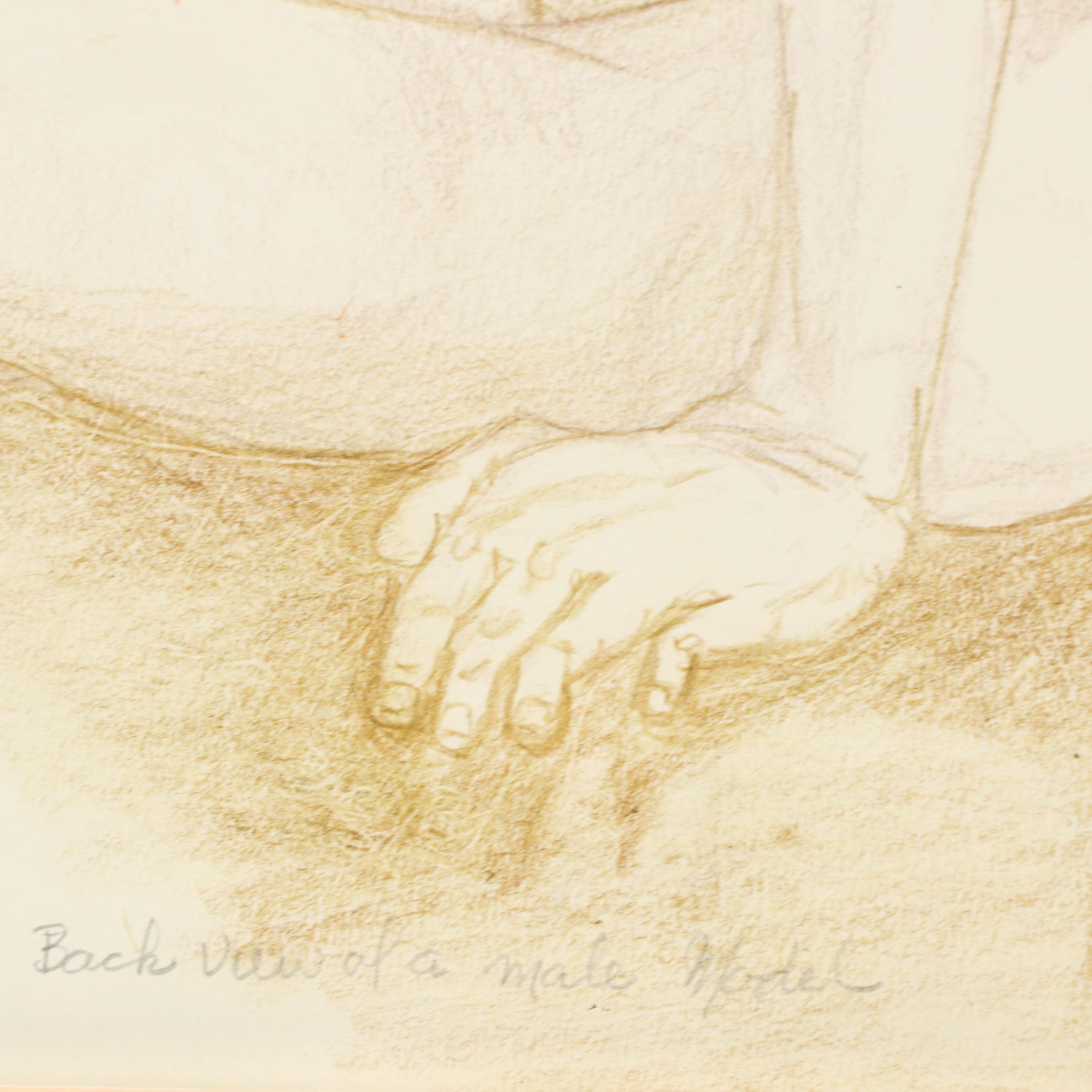 Salvator J. Ingrassia Color Pencil Drawing "Back View of a Male Model"