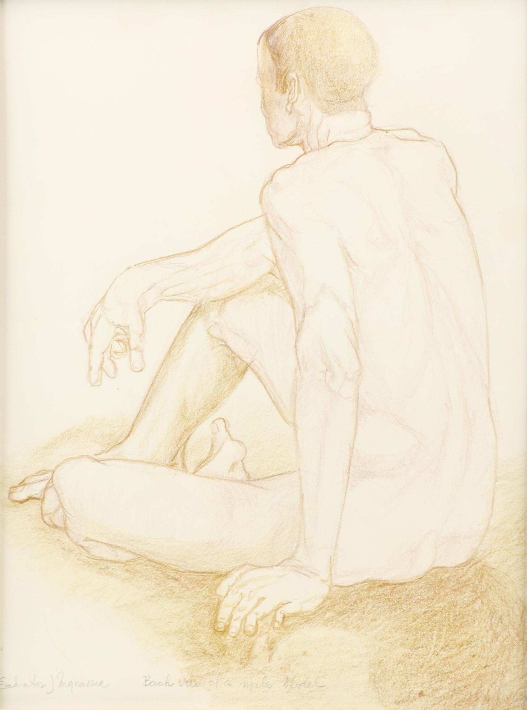 Salvator J. Ingrassia Color Pencil Drawing "Back View of a Male Model"