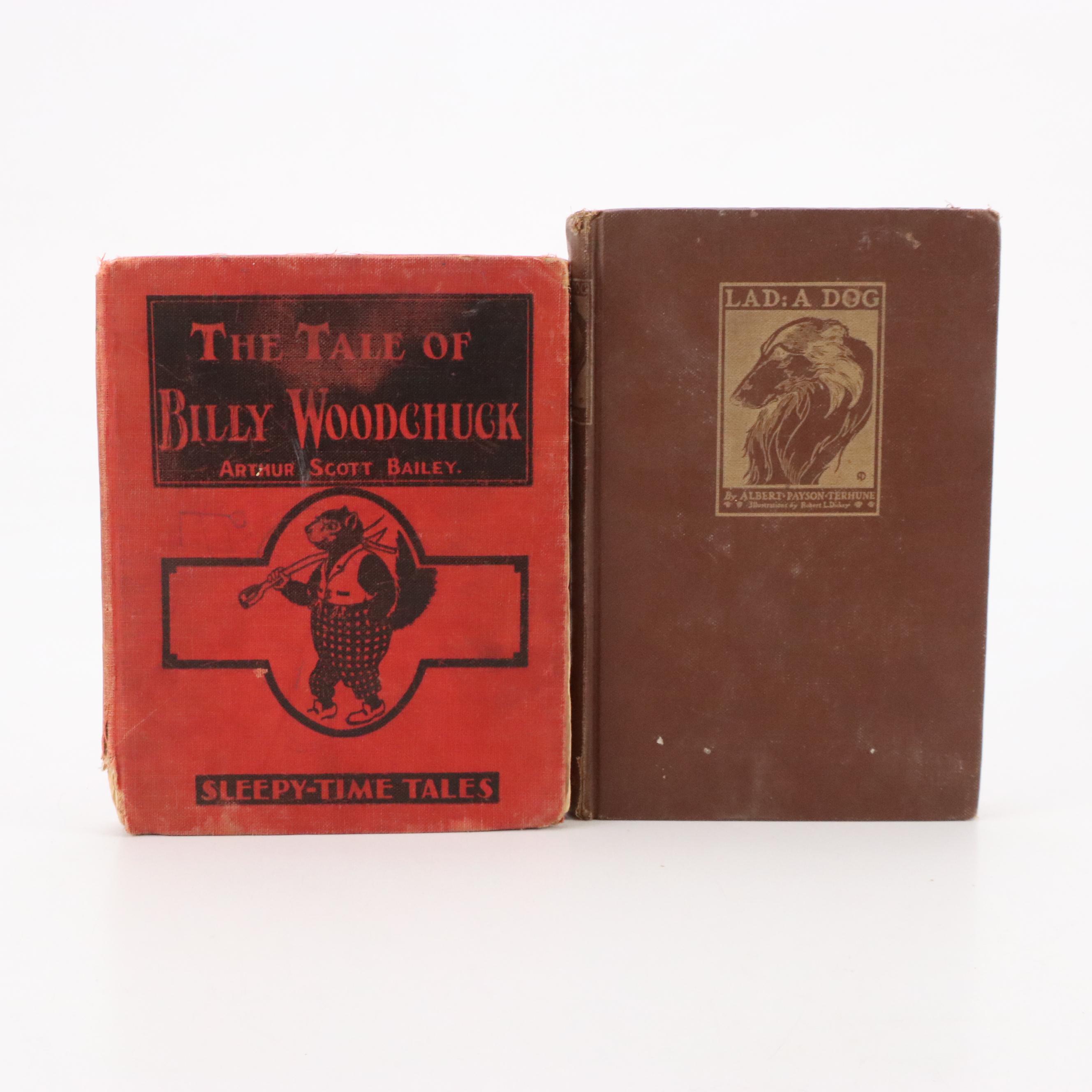 "The Sign of the Crooked Arrow" by Franklin W. Dixon and More Books