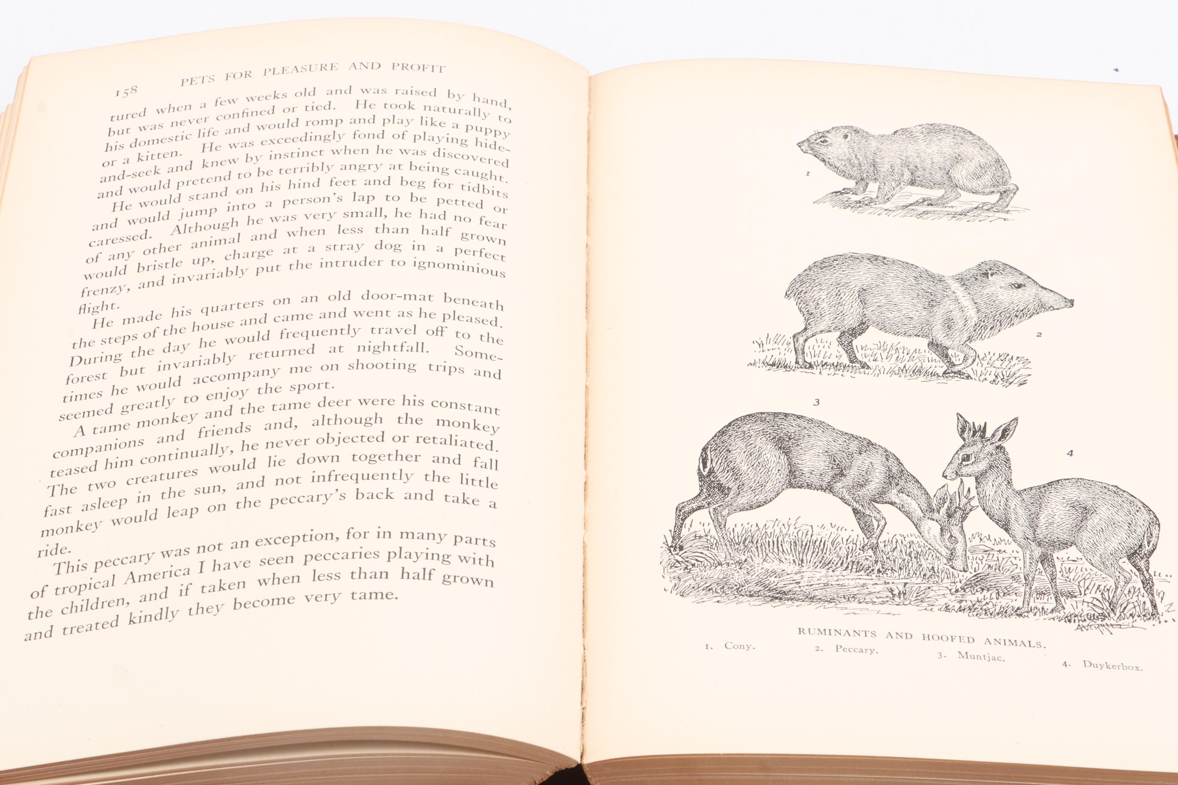 First Edition "Pets for Pleasure and Profit" by A. Hyatt Verrill and More Books