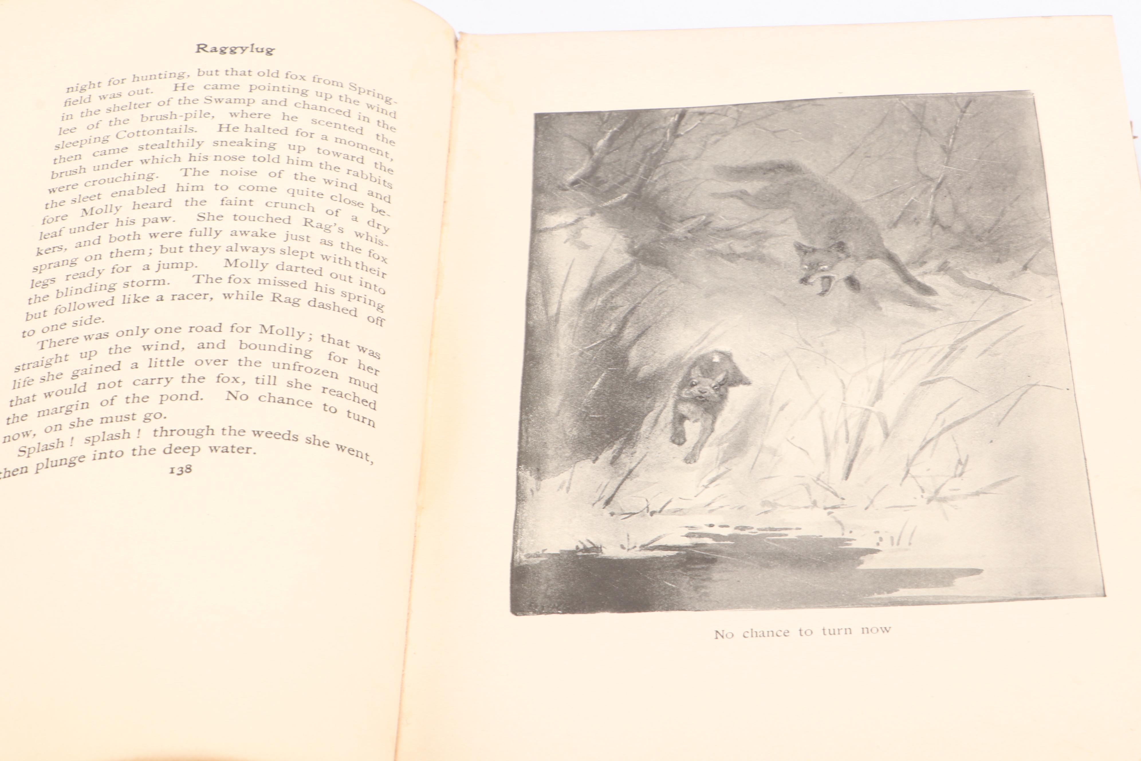 First Edition "Pets for Pleasure and Profit" by A. Hyatt Verrill and More Books