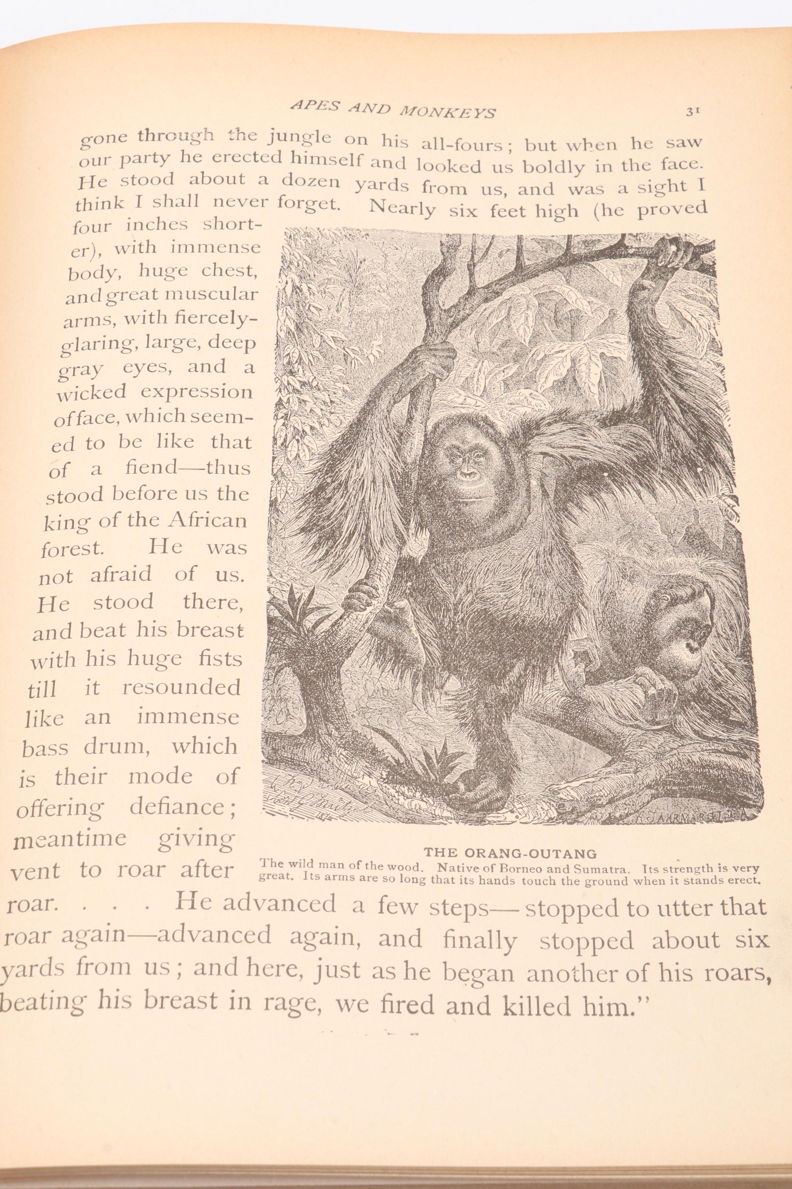 First Edition "Pets for Pleasure and Profit" by A. Hyatt Verrill and More Books