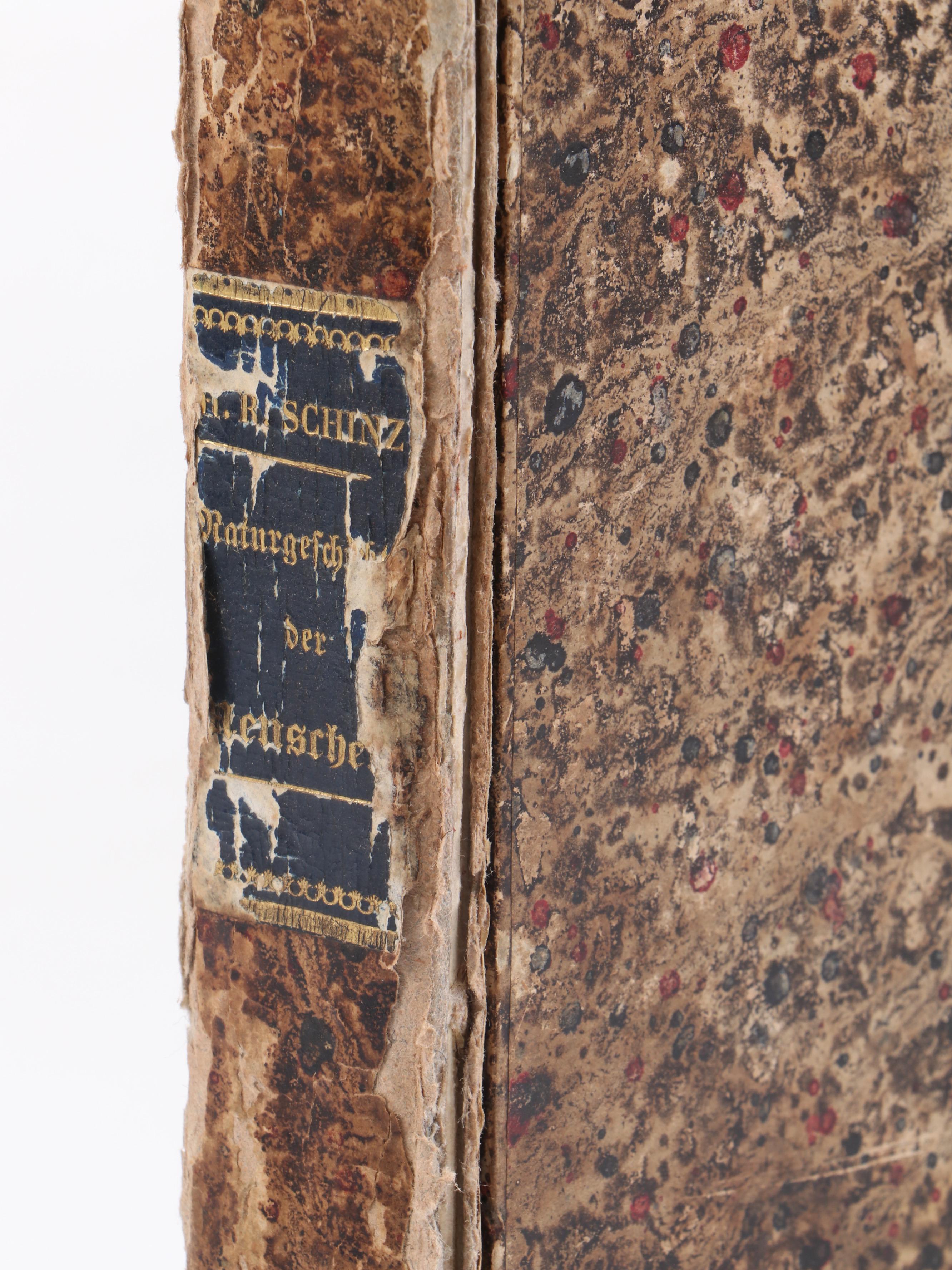 "Naturgeschichte und Abbildungen der Menschen" by Heinrich Schinz, Mid-19th C.