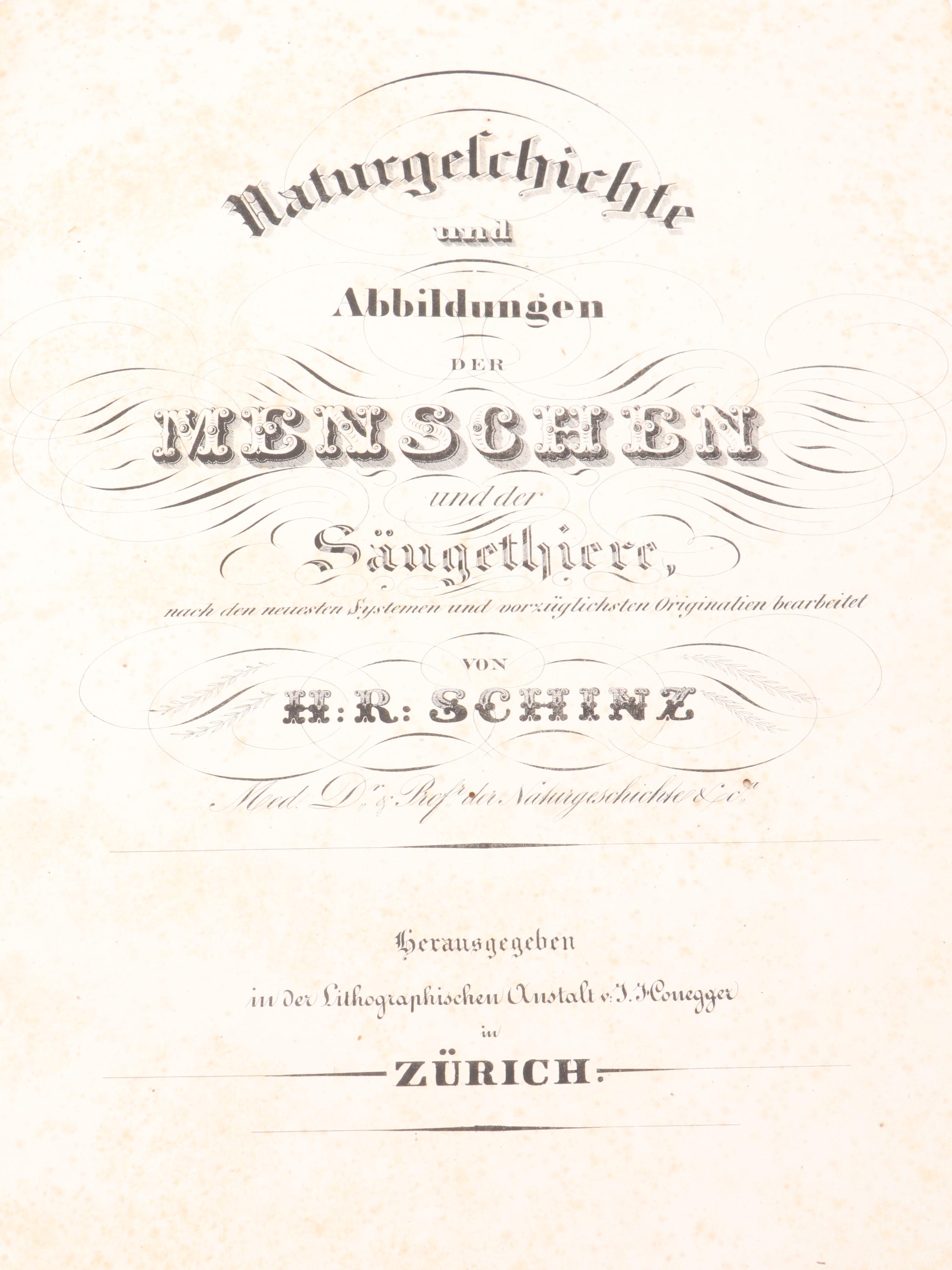 "Naturgeschichte und Abbildungen der Menschen" by Heinrich Schinz, Mid-19th C.