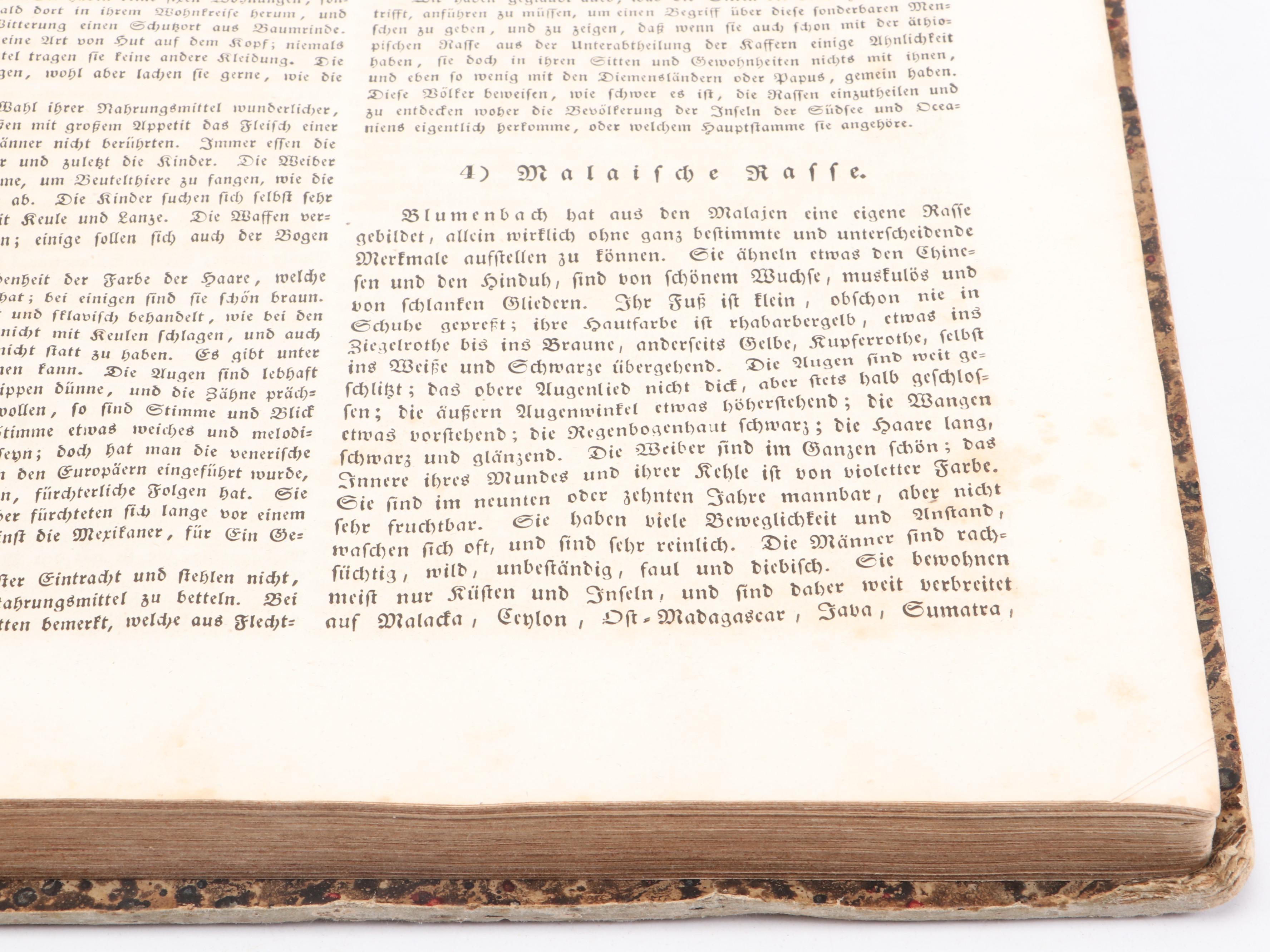 "Naturgeschichte und Abbildungen der Menschen" by Heinrich Schinz, Mid-19th C.