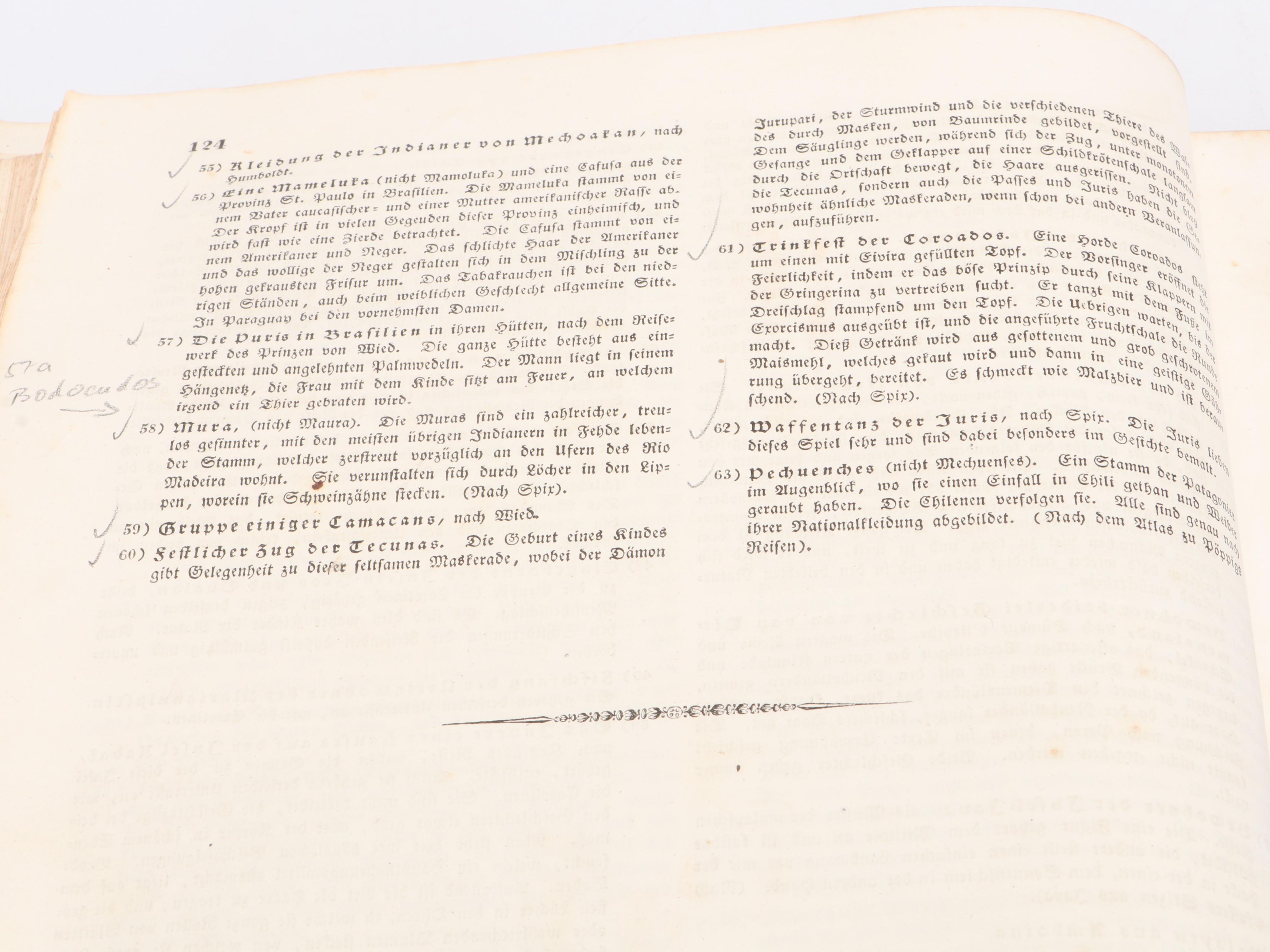 "Naturgeschichte und Abbildungen der Menschen" by Heinrich Schinz, Mid-19th C.