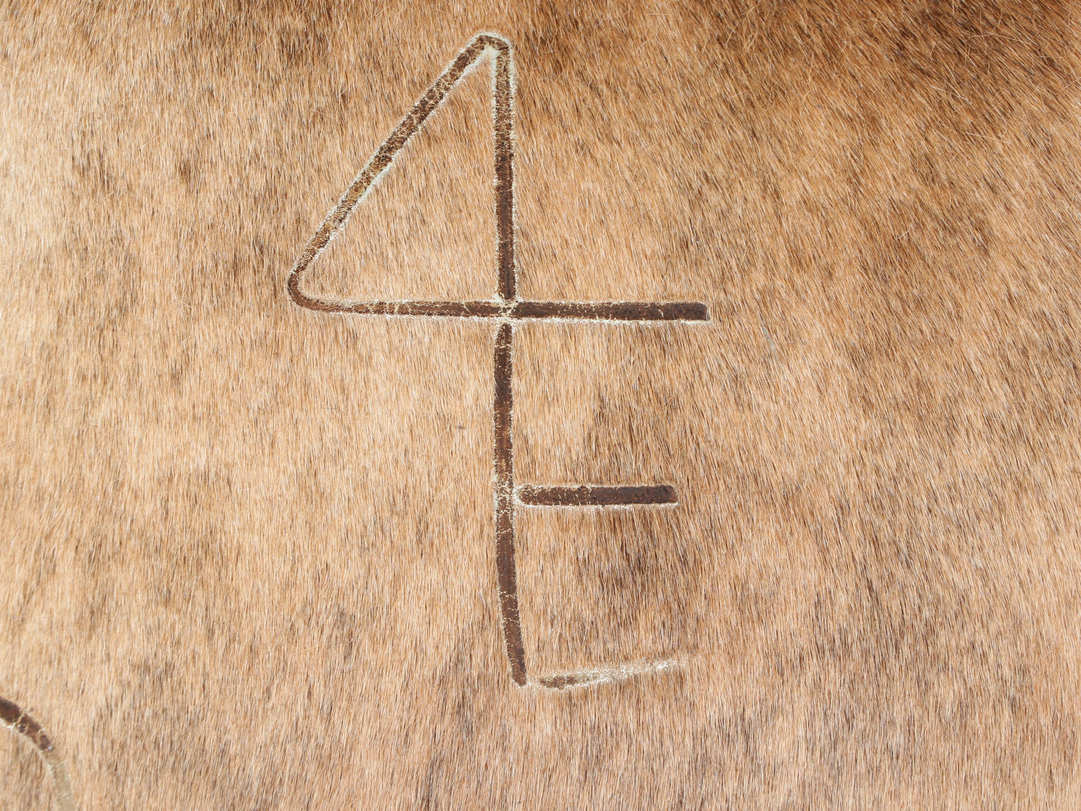 Southwestern Ranch Style Embossed Leather and Cowhide Sofa