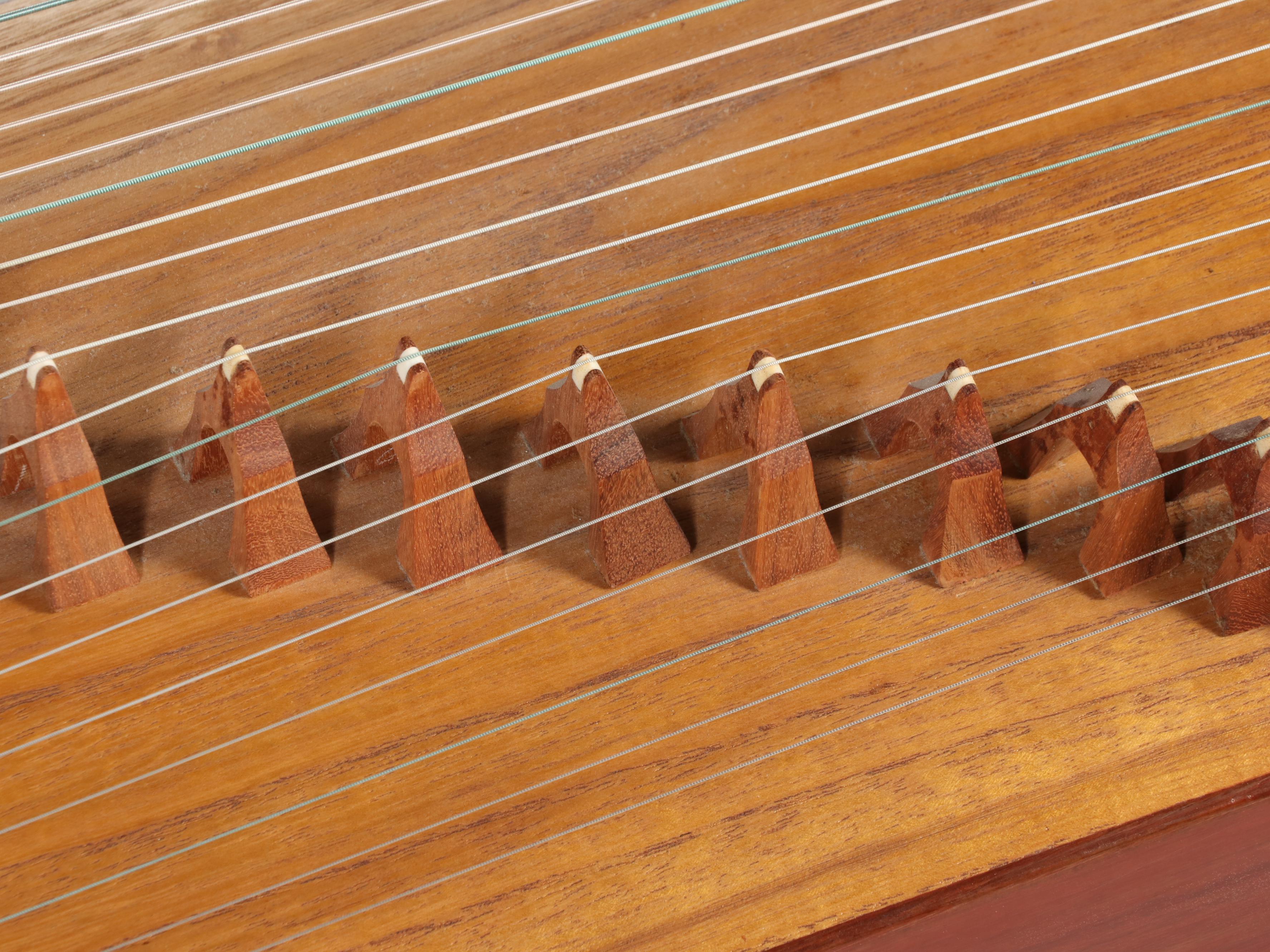 Guzheng Chinese Zither 21-String Traditional Instrument with Fitted Hard Case