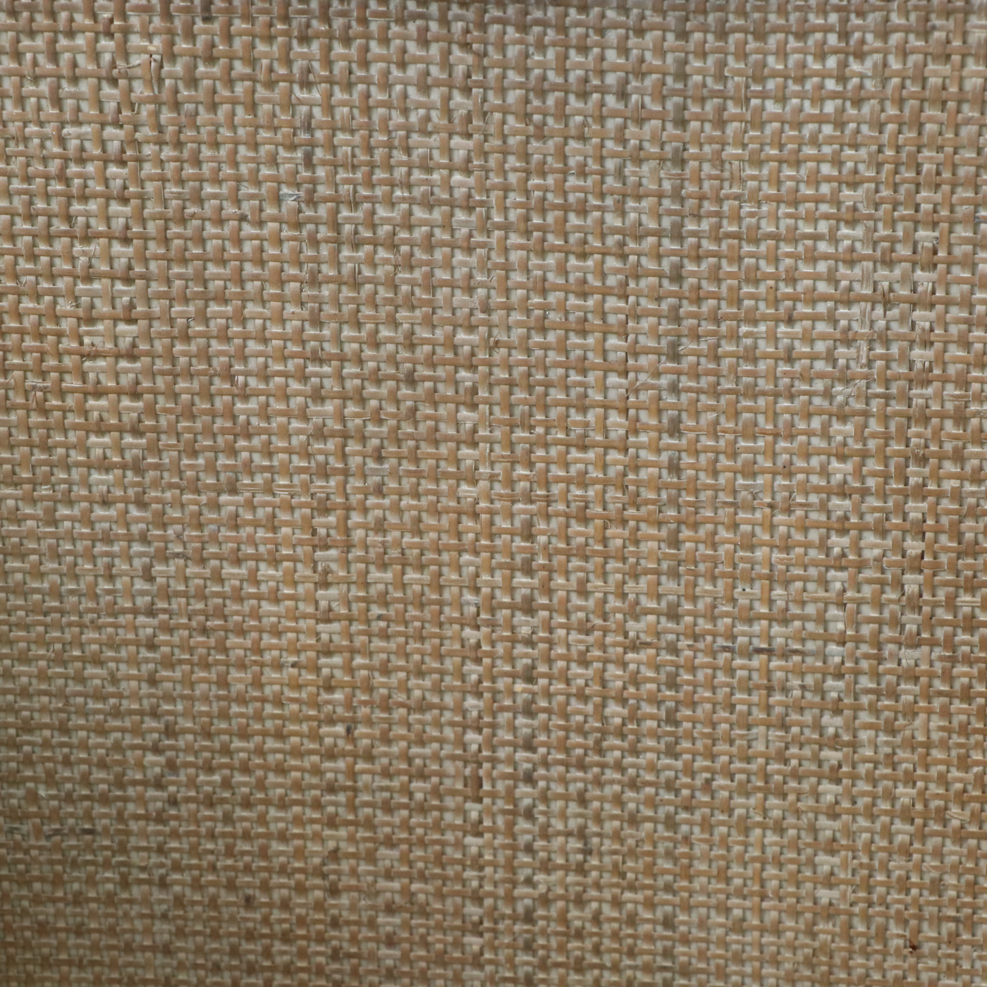 Madison Park "Palisades" Wood and Woven Accent Chest, Pair