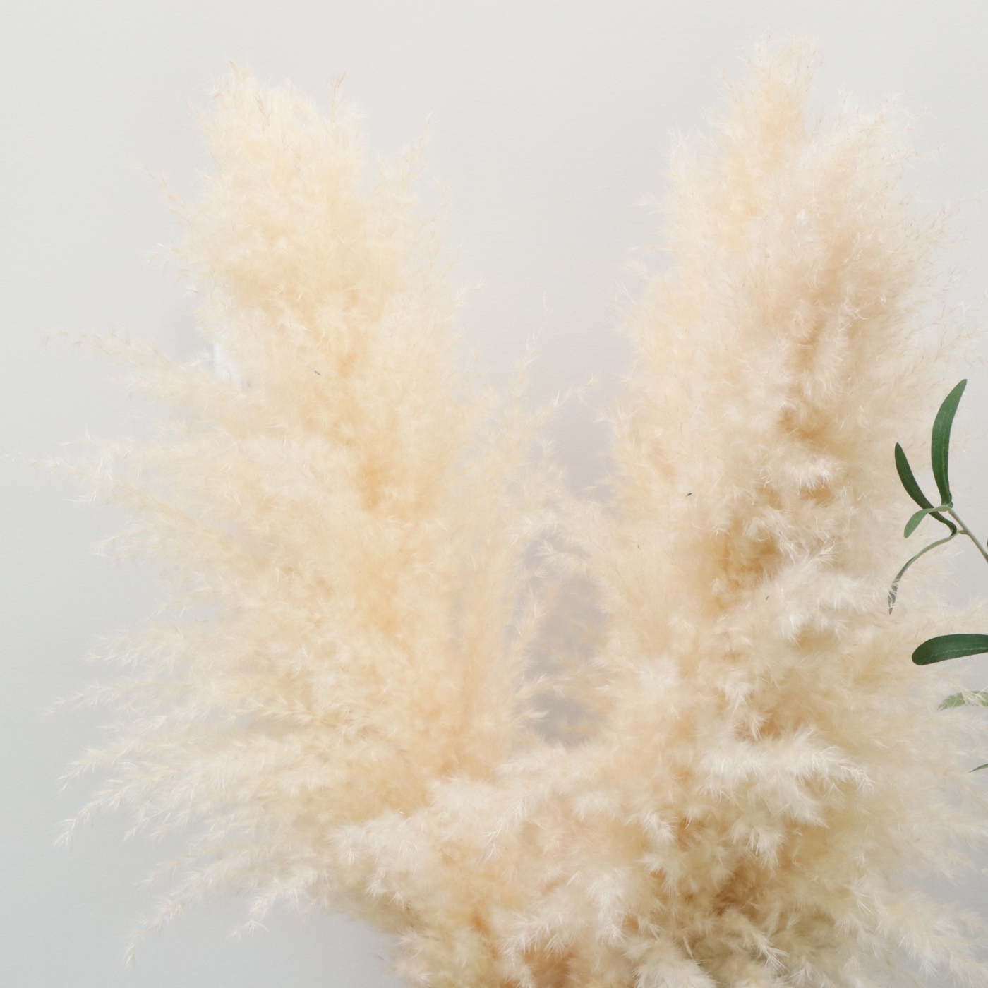 Handcrafted Stoneware Vase with Grass Plumes and Other Arrangements