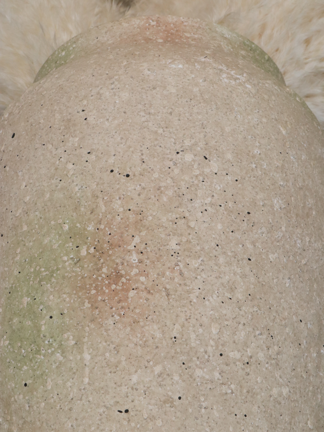 Handcrafted Stoneware Vase with Grass Plumes and Other Arrangements