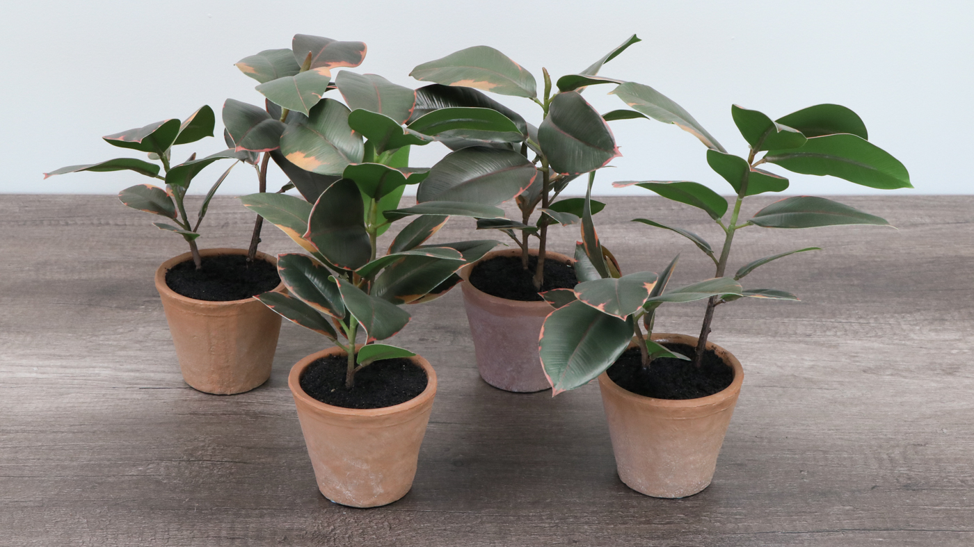Earthenware Décor Vases and Potted Artificial Rubber Fig Plants