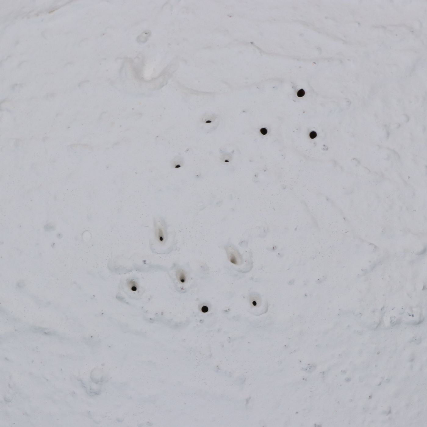 Opal House for Jungalow Textured Ceramic Vases, Threshold Bowl and Décor