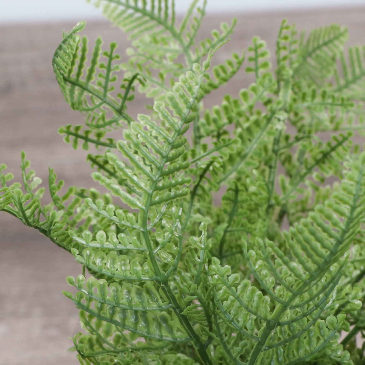 Opal House for Jungalow Textured Ceramic Vases, Threshold Bowl and Décor