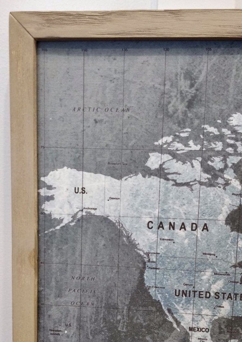 Williams-Sonoma Framed Travel Map Pin Board