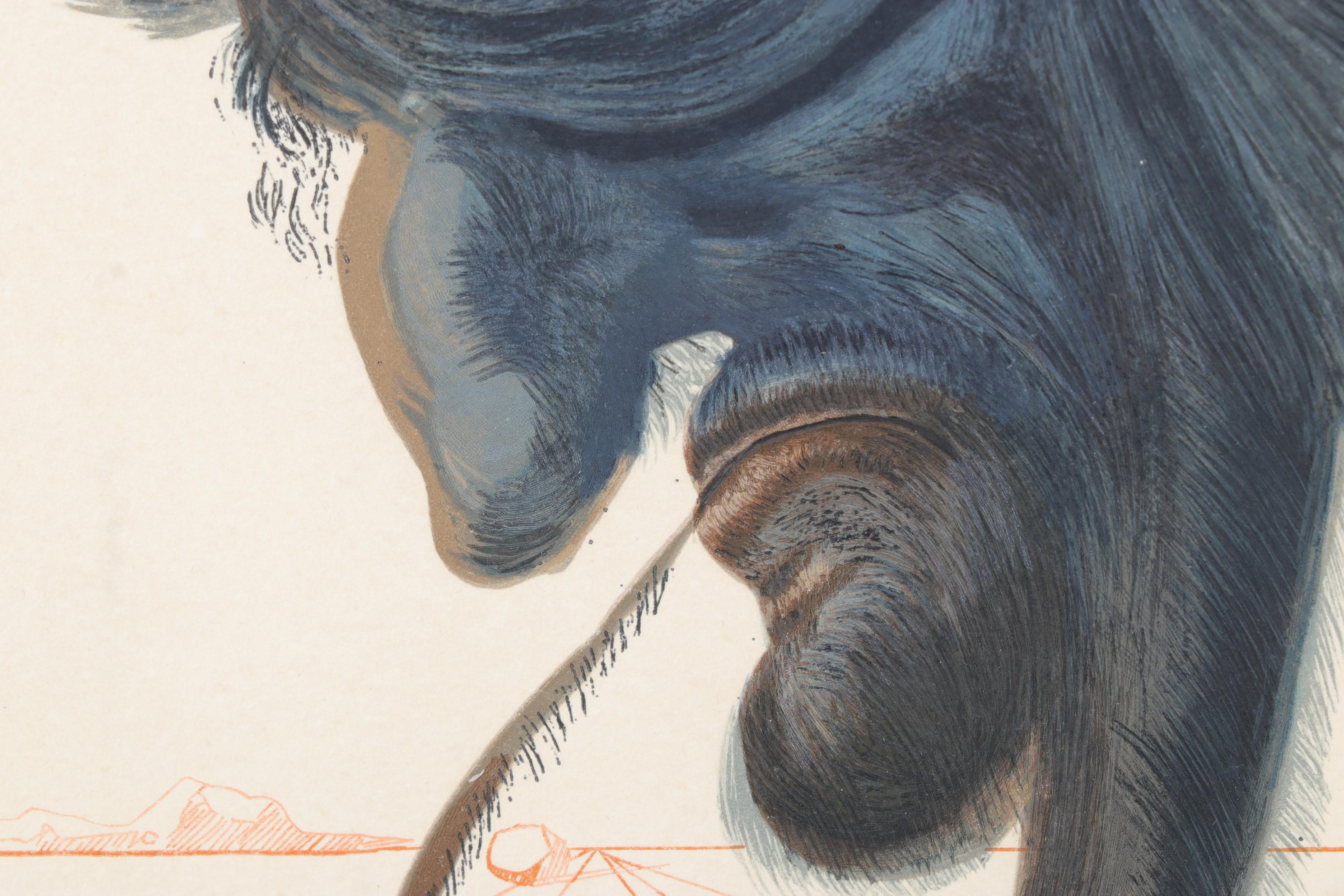 Salvador Dalí Wood Engraving "Devins et Sorciers"