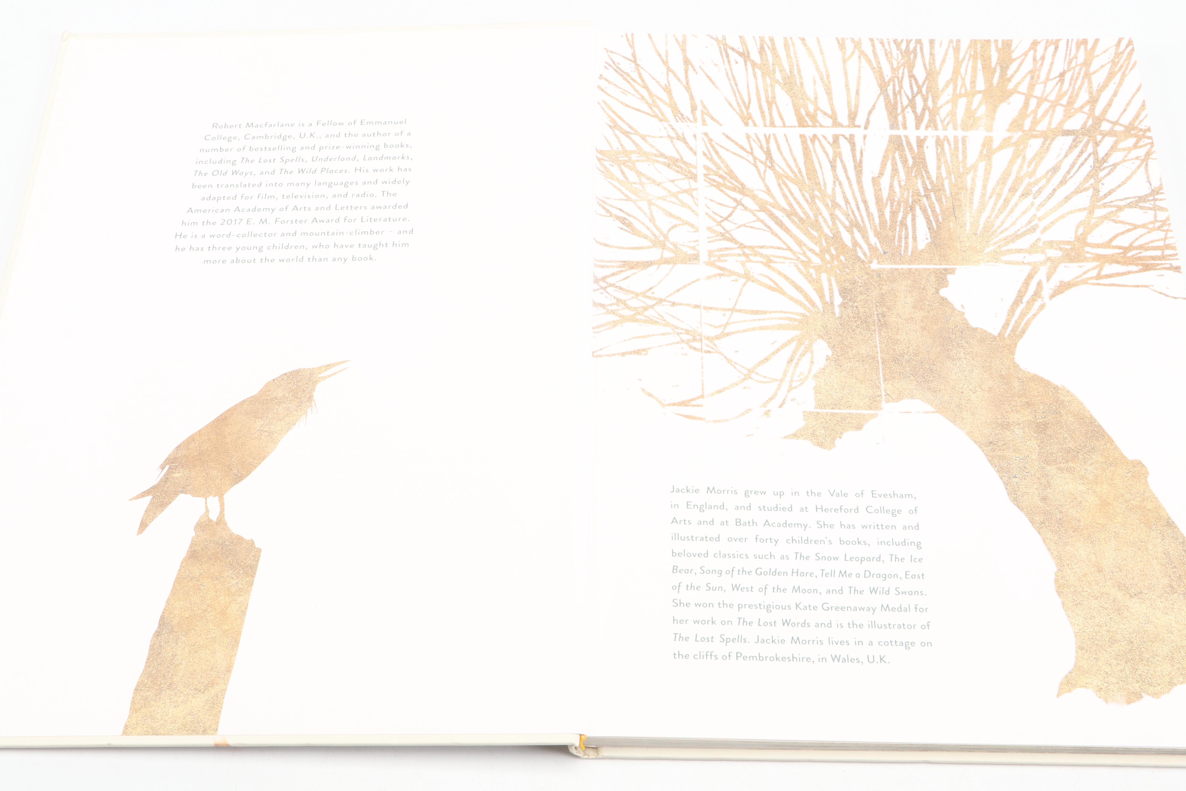 "The Lost Words: A Spell Book" by Robert Macfarlane and Jackie Morris, 2020