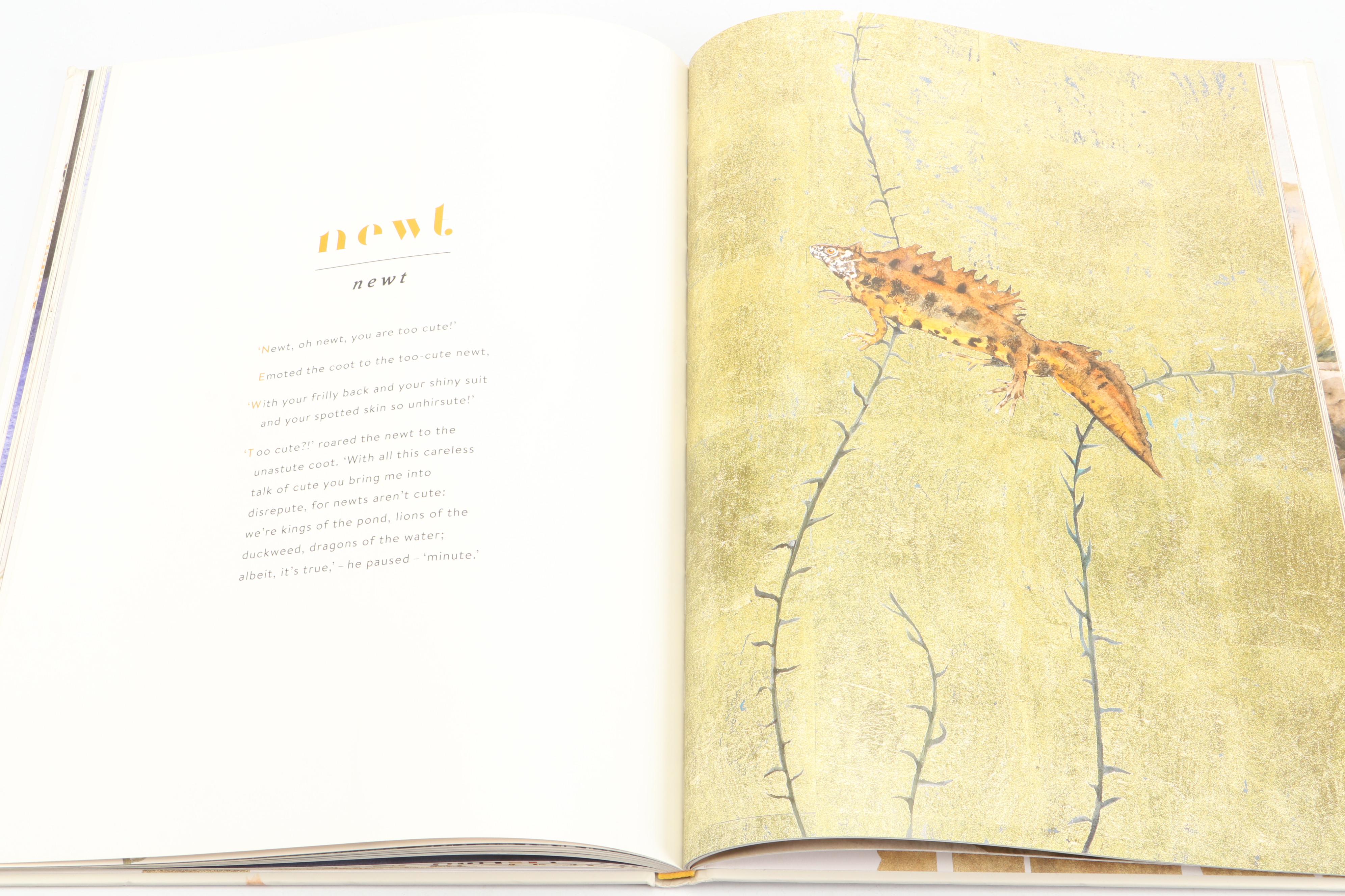 "The Lost Words: A Spell Book" by Robert Macfarlane and Jackie Morris, 2020