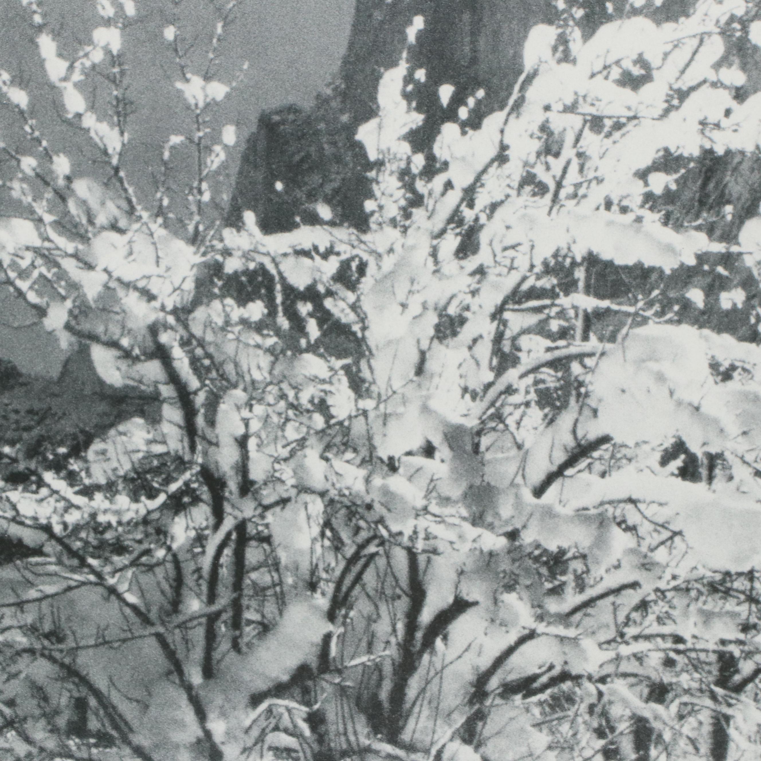 Ansel Adams Exhibition Poster Featuring "Snow Covered Apple Orchard"