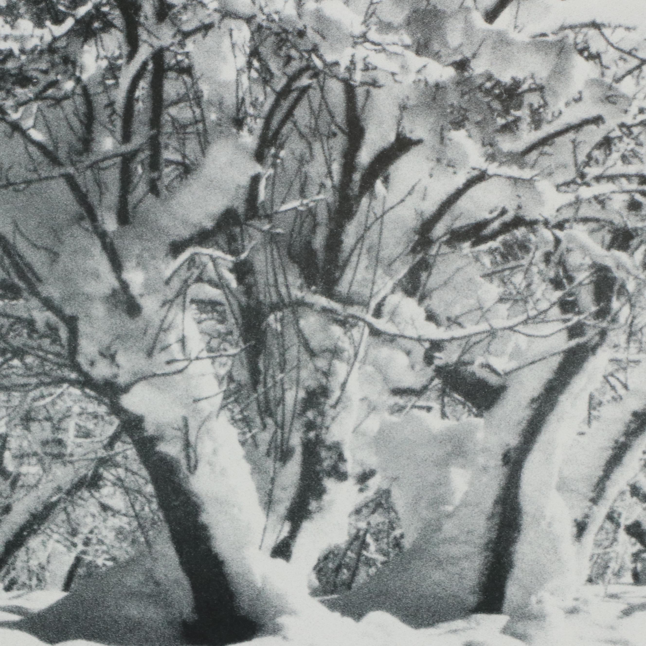 Ansel Adams Exhibition Poster Featuring "Snow Covered Apple Orchard"