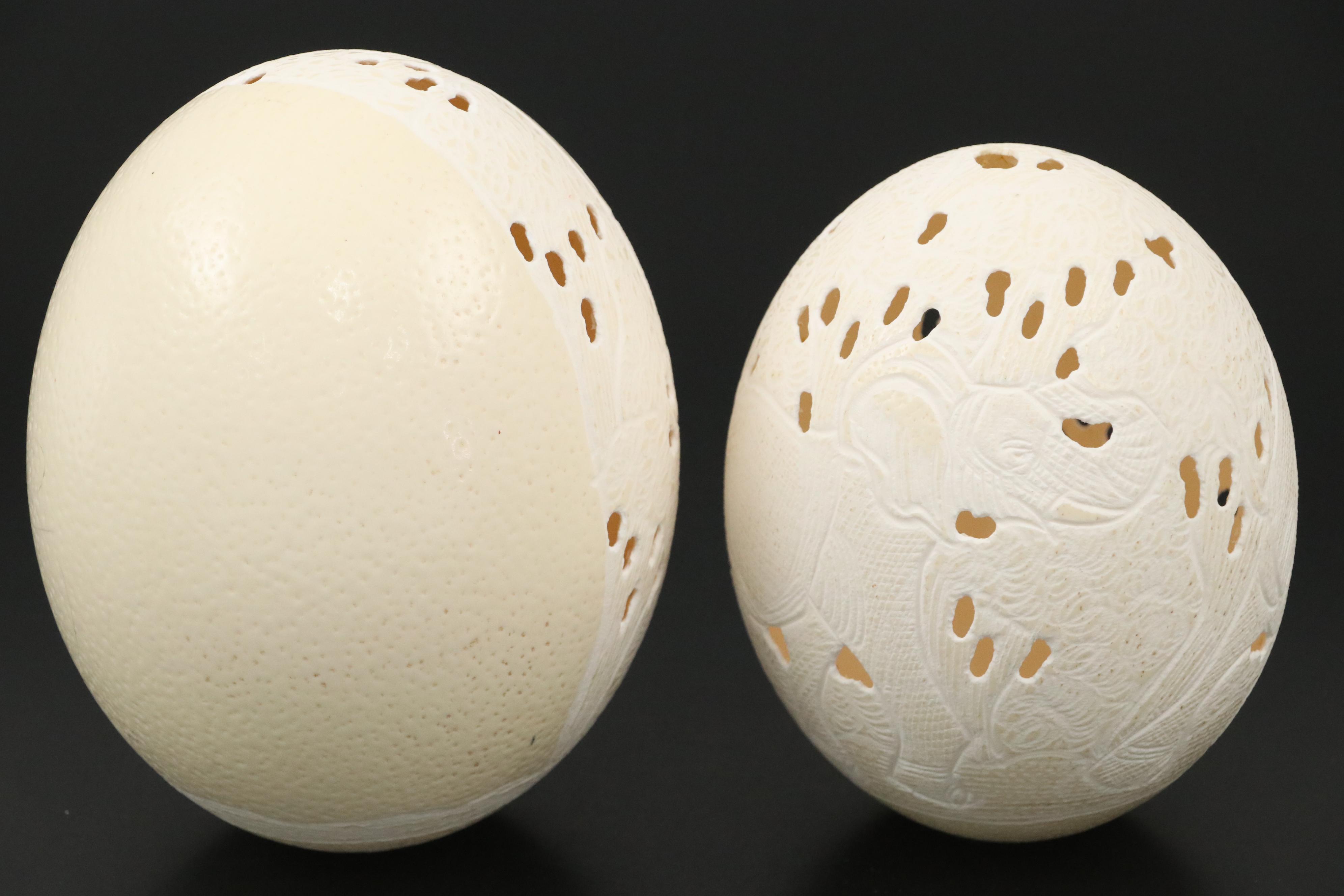 Hand-Carved Ostrich Eggs with Elephant Motif