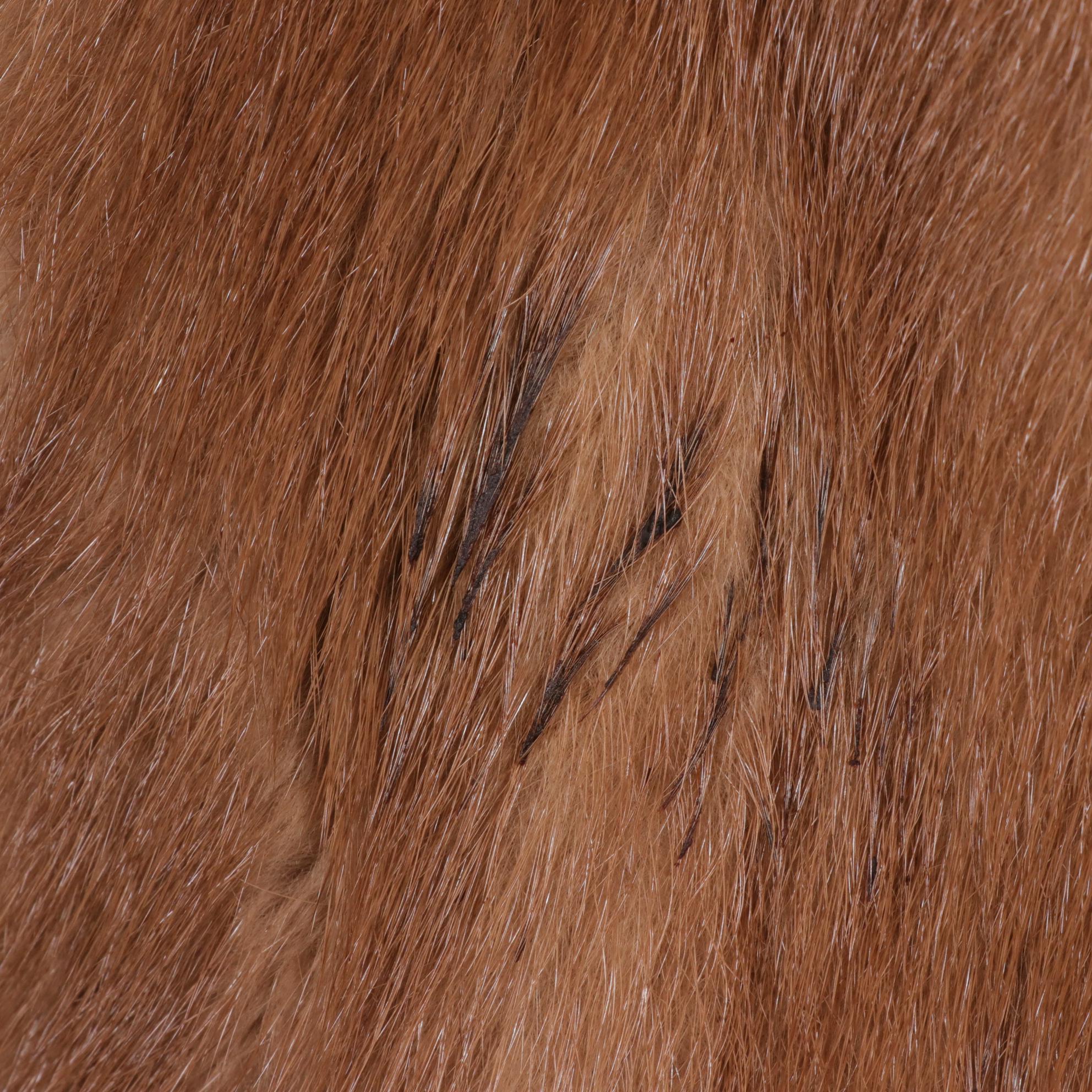 Blond Mink Fur Coat From Lazarus, Mid to Late 20th Century