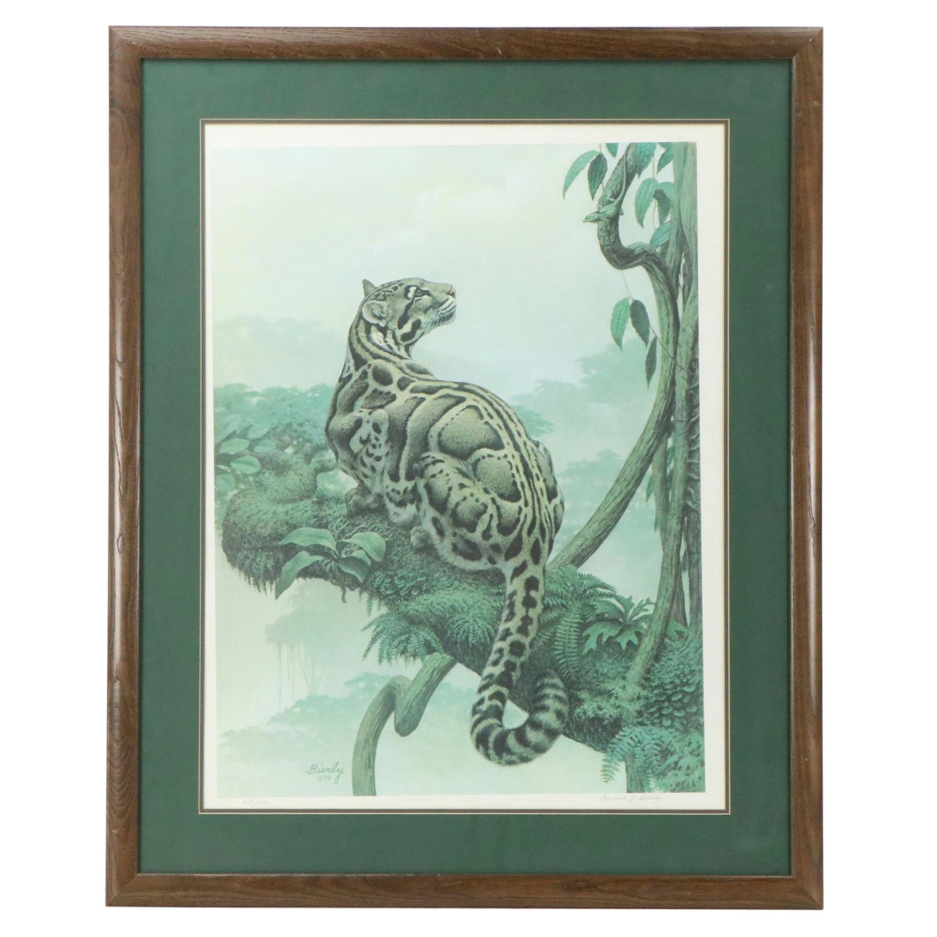 Edward J. Bierly Offset Lithograph of Clouded Leopard, Circa 1979