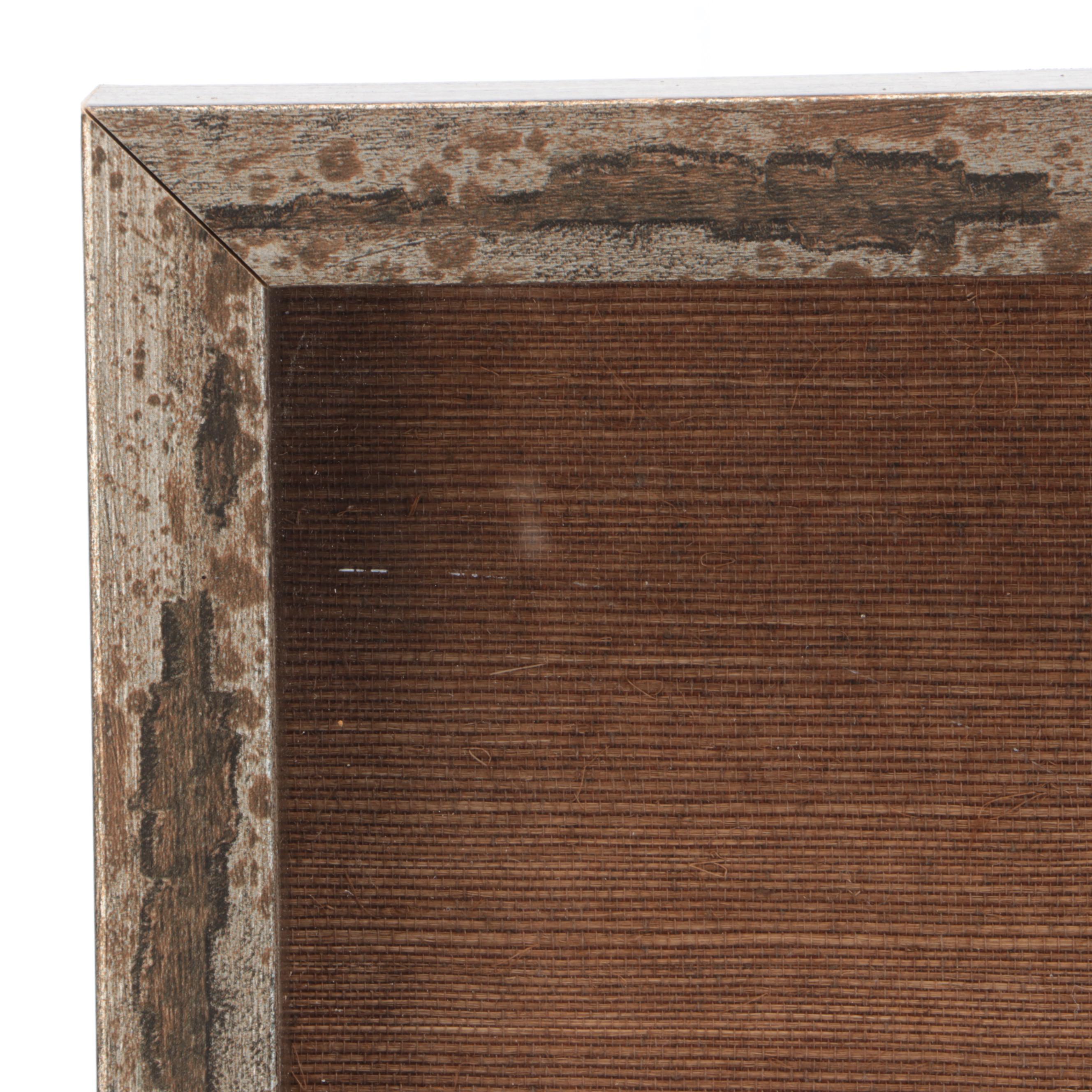 Framed Fossil Fan Coral