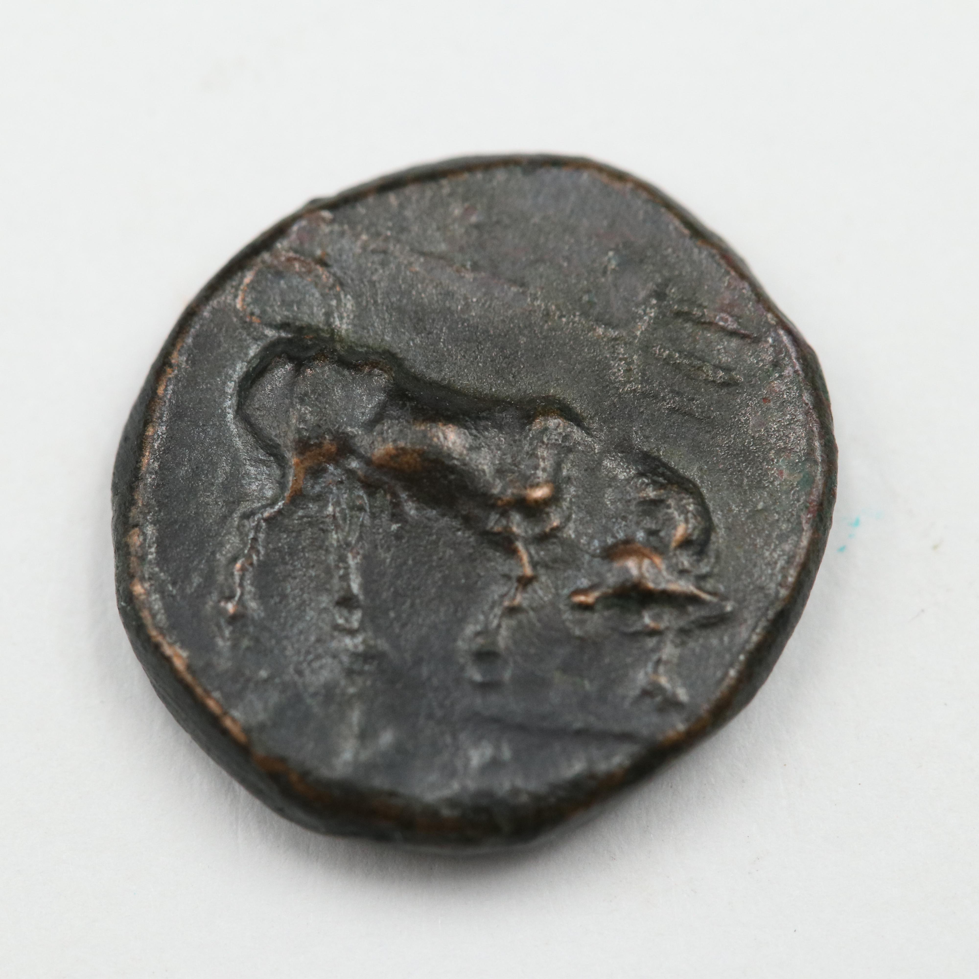 Ancient Krannon, Thessaly Bronze Coin, ca. 350 B.C.