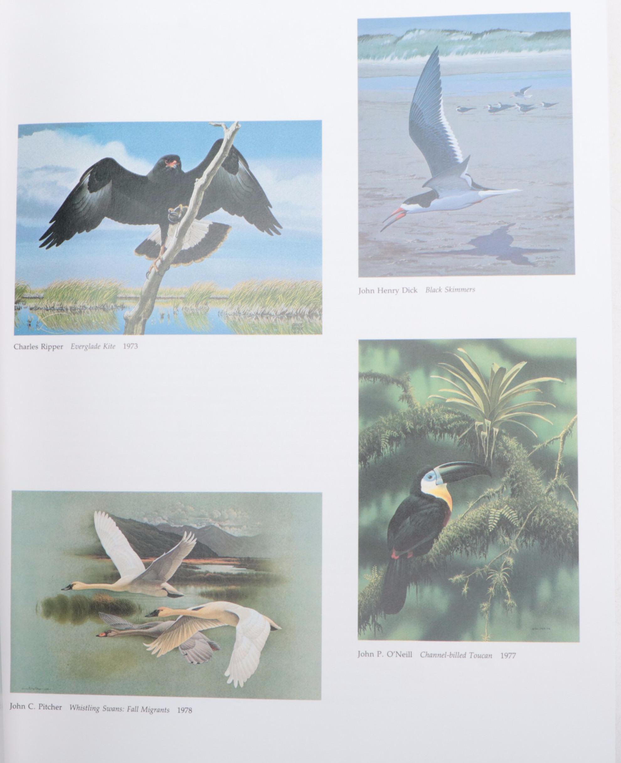 Baby Elephant Folio "Audubon's Birds of America" by the Petersons, 1985