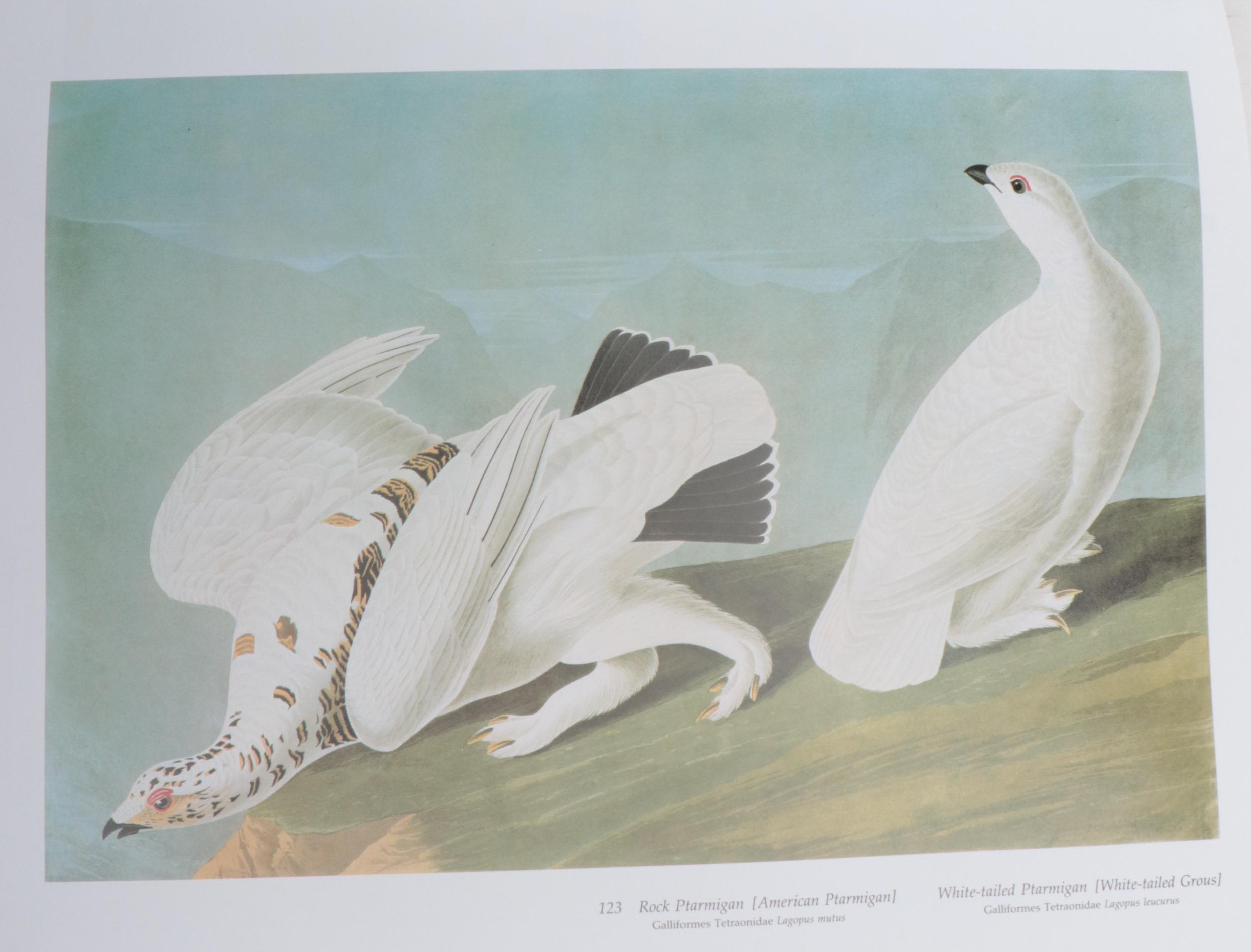 Baby Elephant Folio "Audubon's Birds of America" by the Petersons, 1985