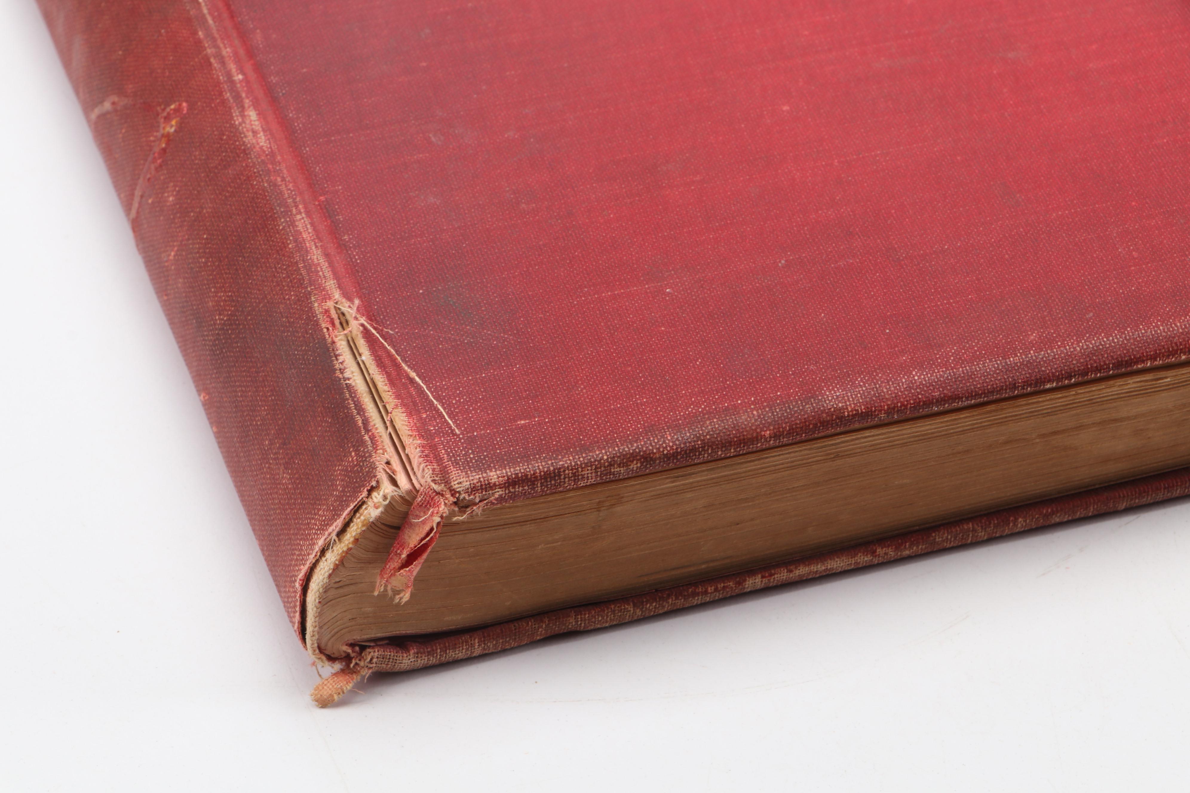 Illustrated "The Gibson Book" Vol. I by Charles Dana Gibson, 1906