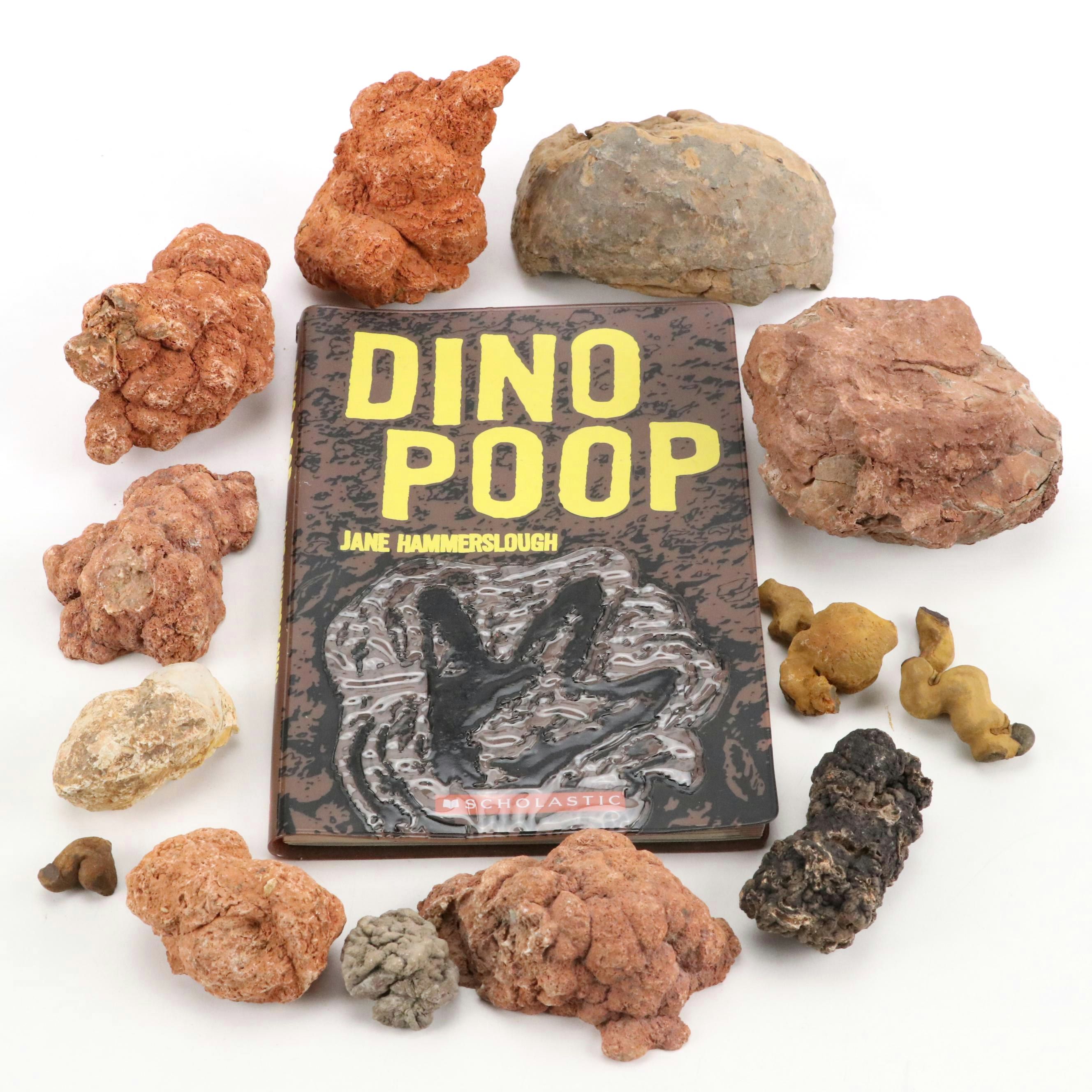 Coprolites with Scholastic "Dino Poop" Educational Book
