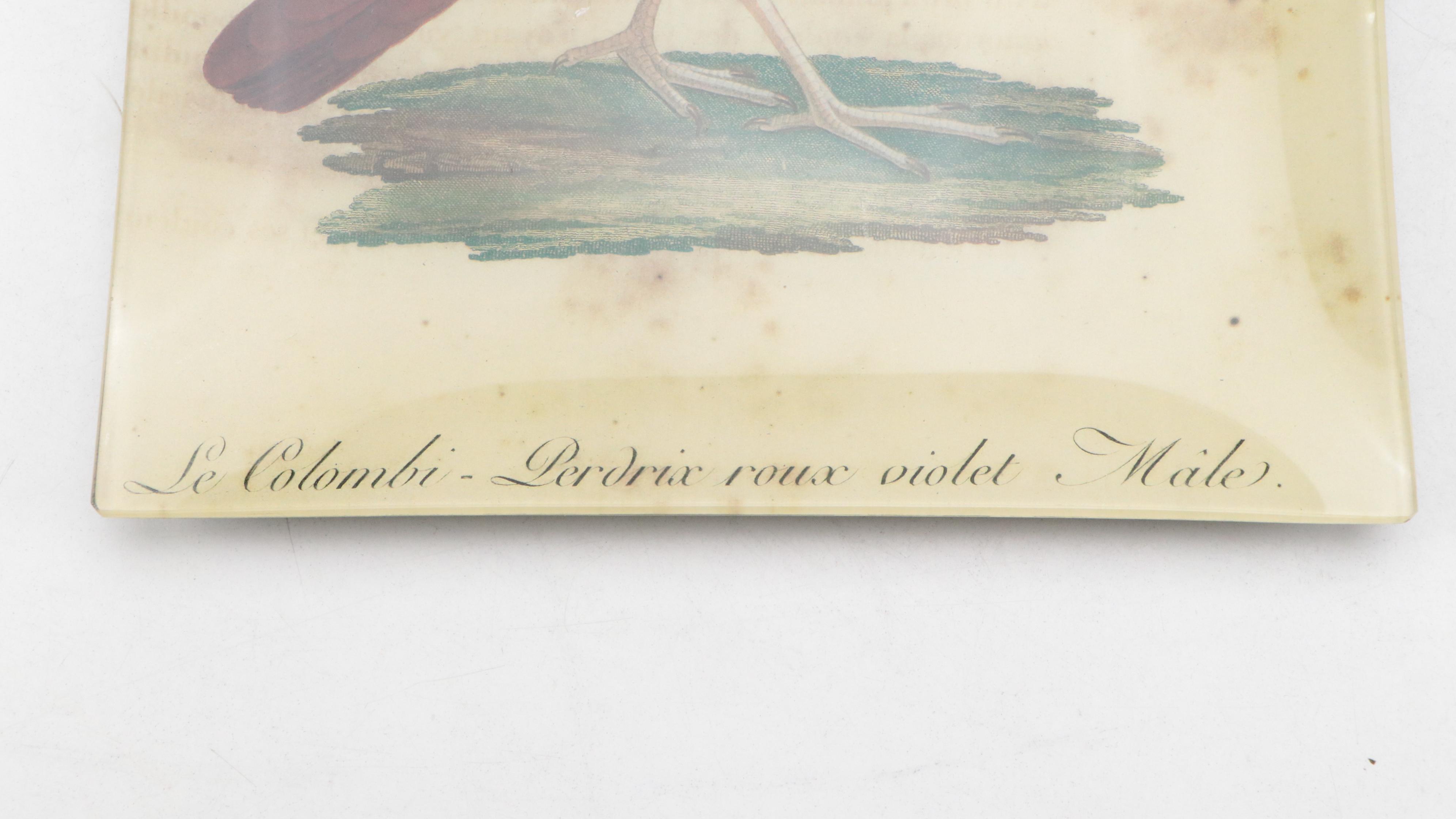 John Derian Botanical Decoupage Glass Tray