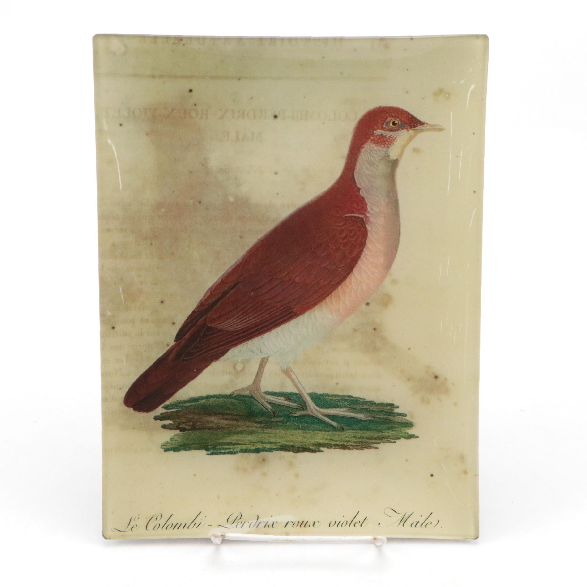 John Derian Botanical Decoupage Glass Tray