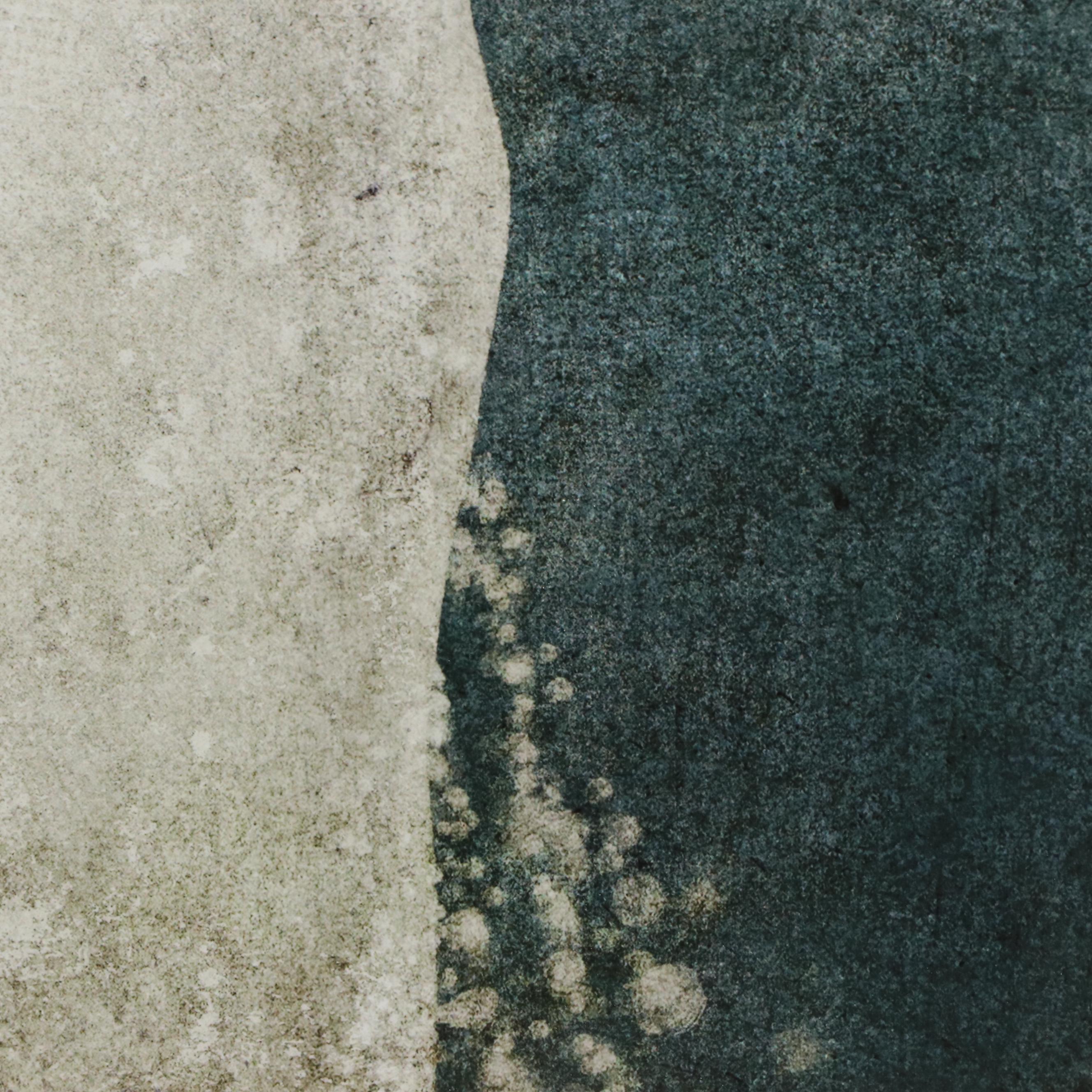 Giclée After Terry Fan "The Whale," 21st Century