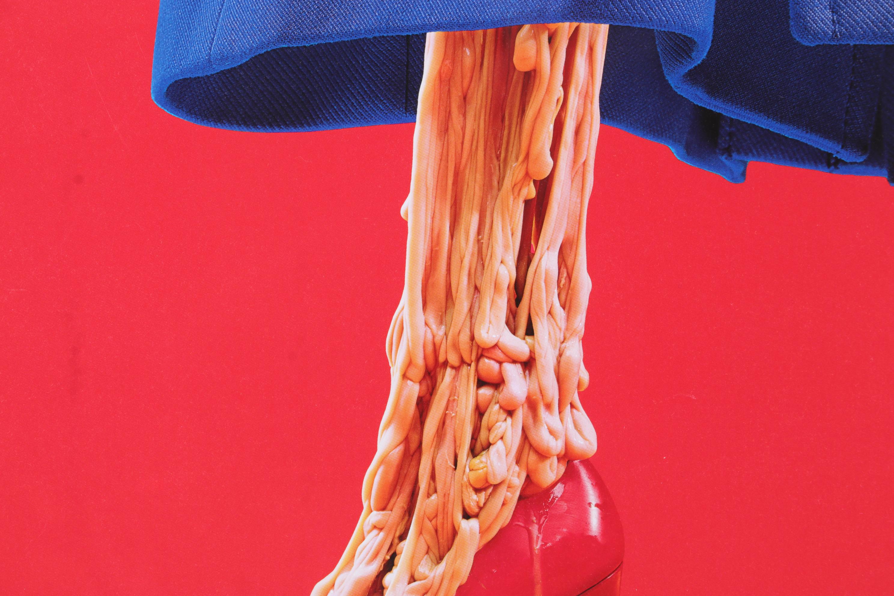 Grotesque Humor Offset Lithograph from "TOILETPAPER Vol. 18," 21st Century