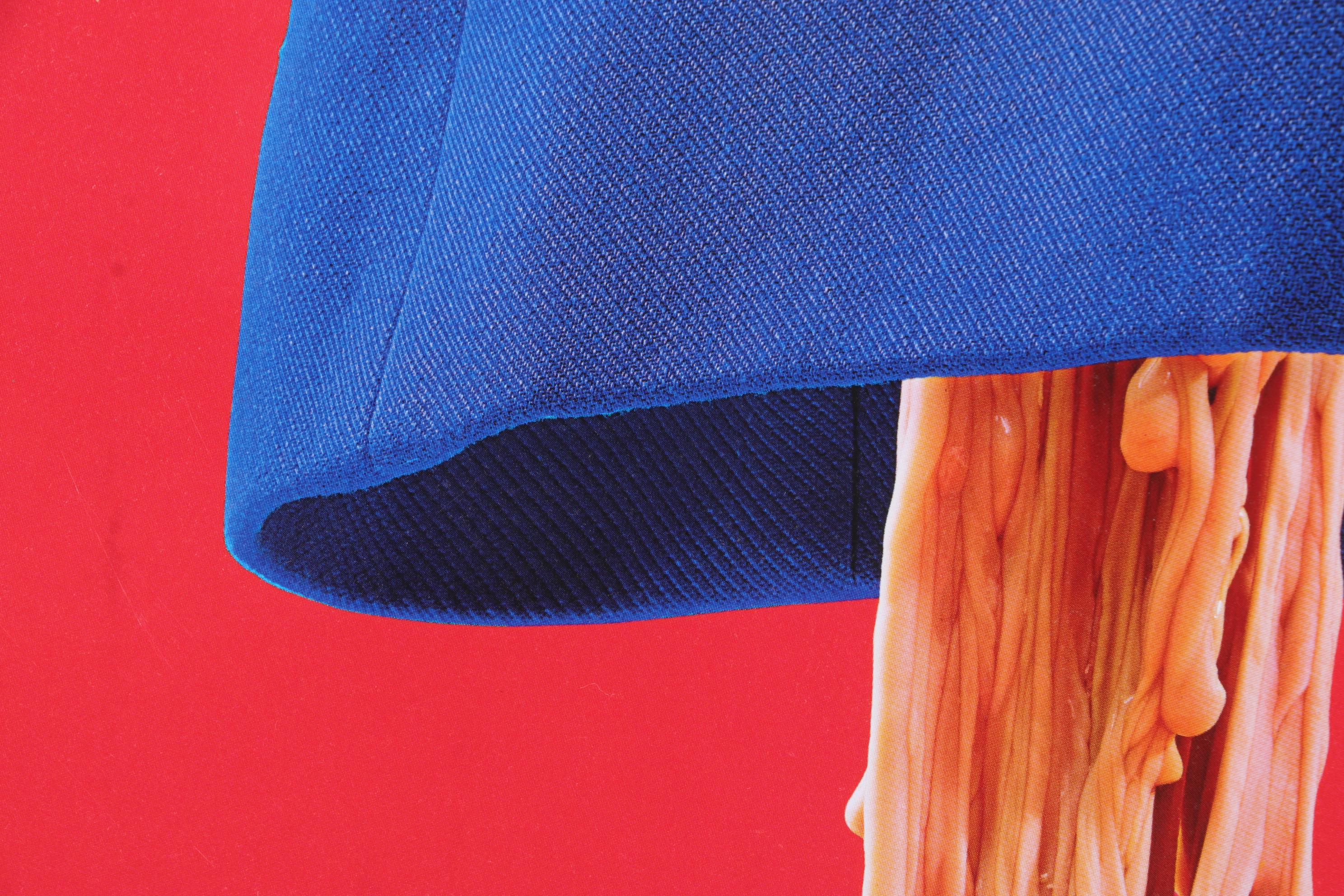 Grotesque Humor Offset Lithograph from "TOILETPAPER Vol. 18," 21st Century