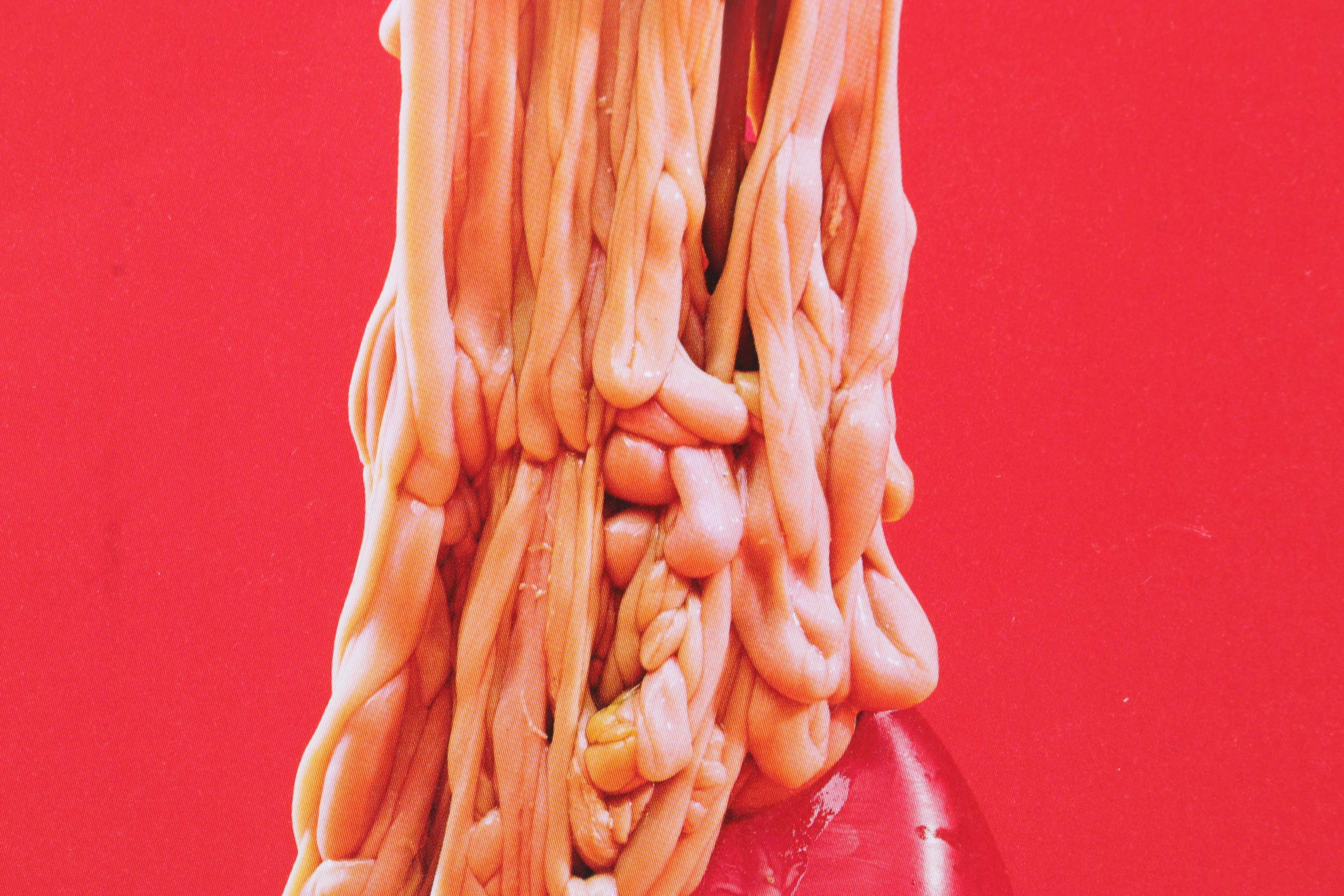 Grotesque Humor Offset Lithograph from "TOILETPAPER Vol. 18," 21st Century