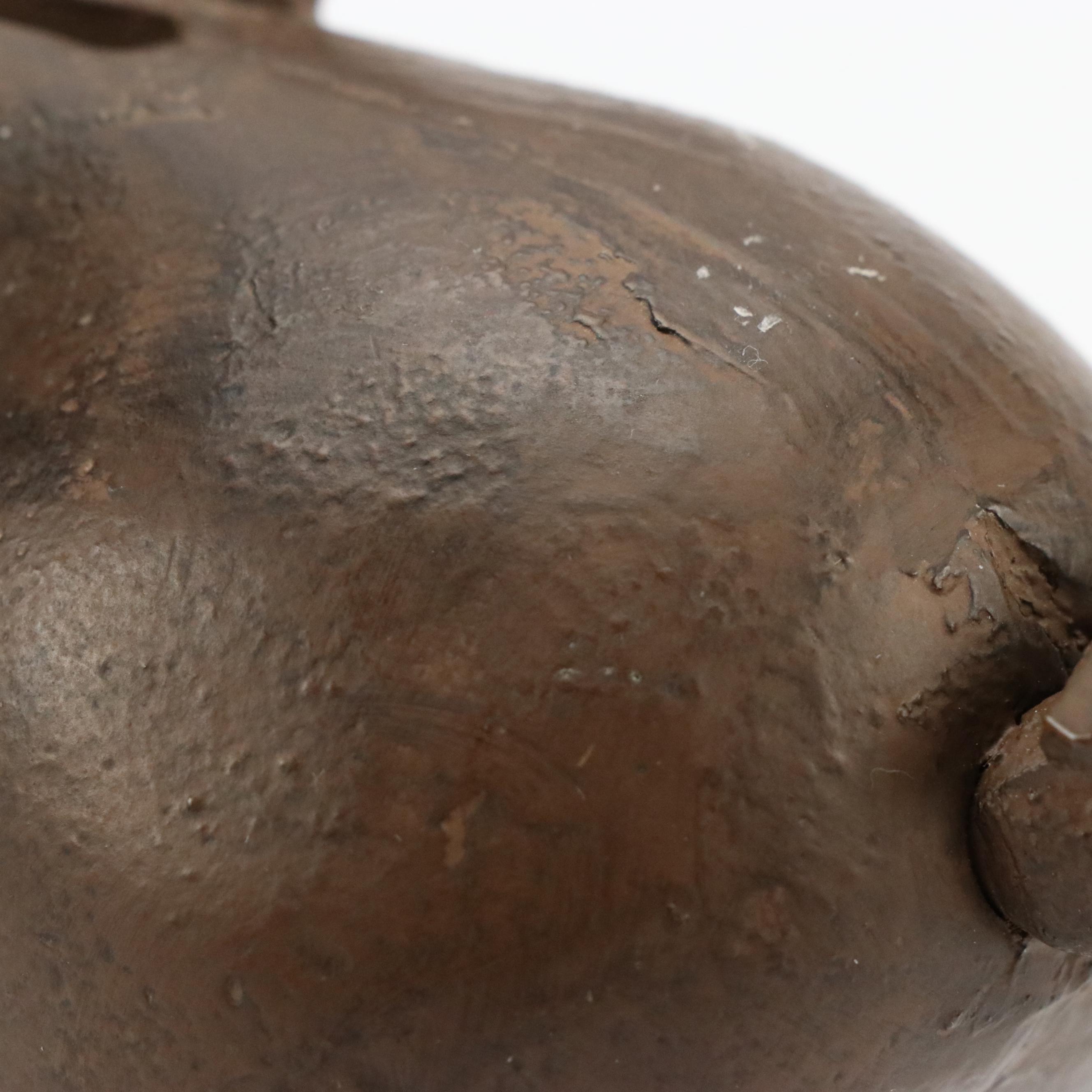 Flying Pig Coin Bank