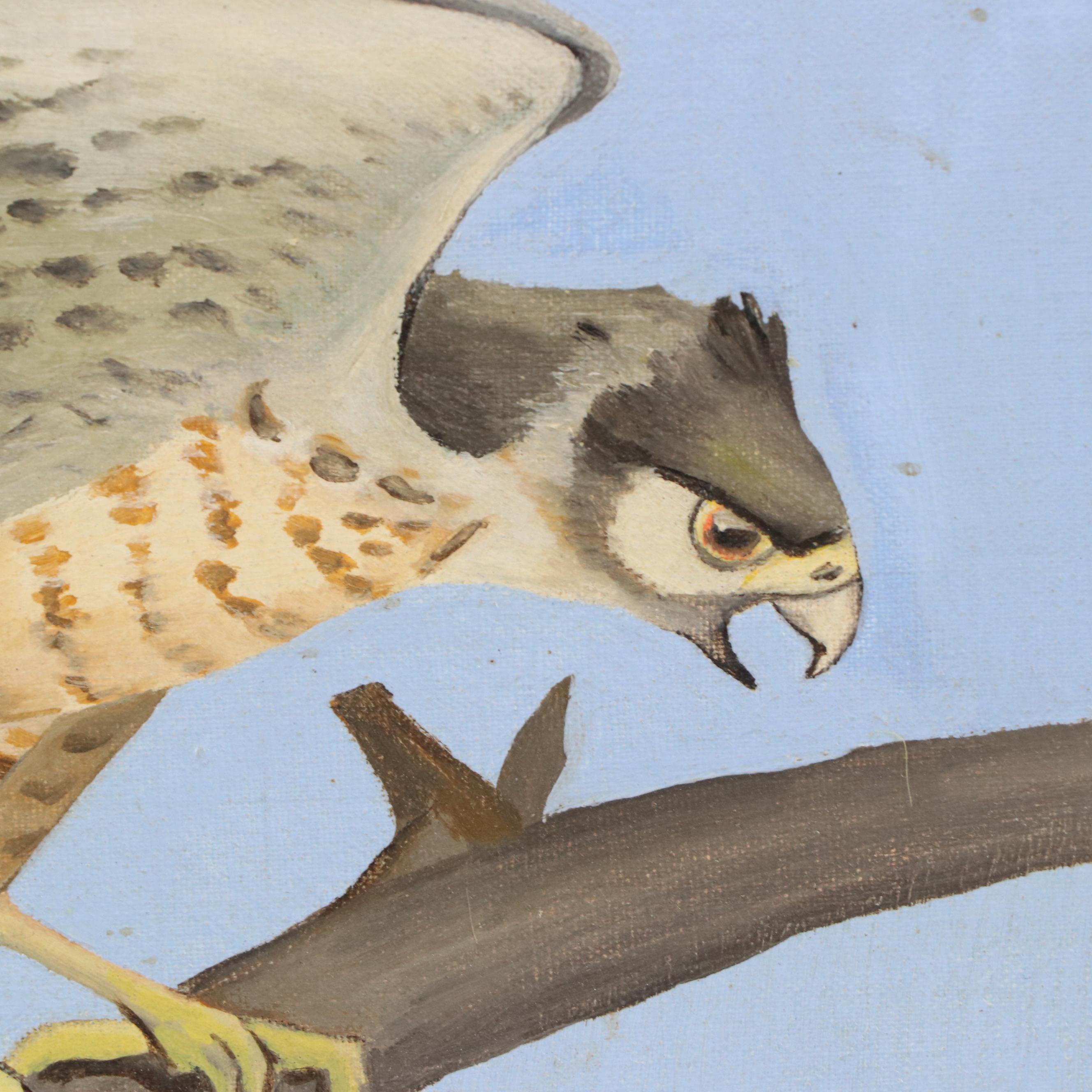 Oil Painting of Hawk, 20th Century
