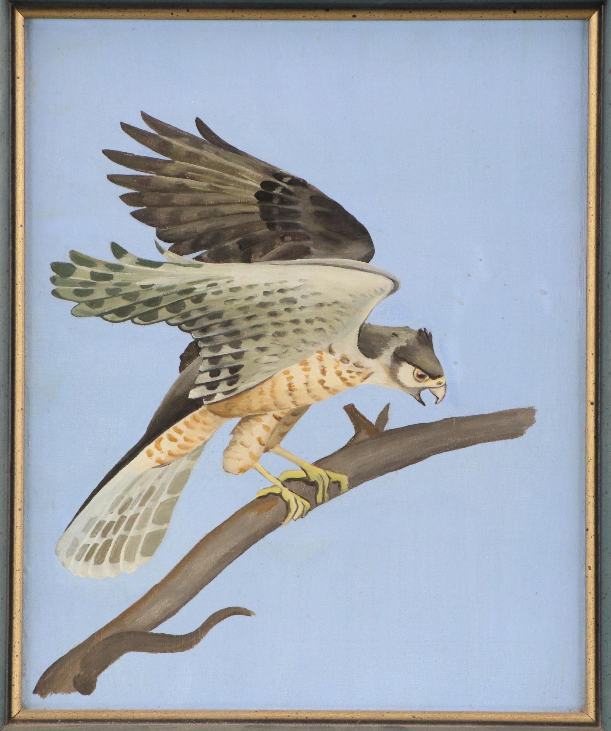 Oil Painting of Hawk, 20th Century