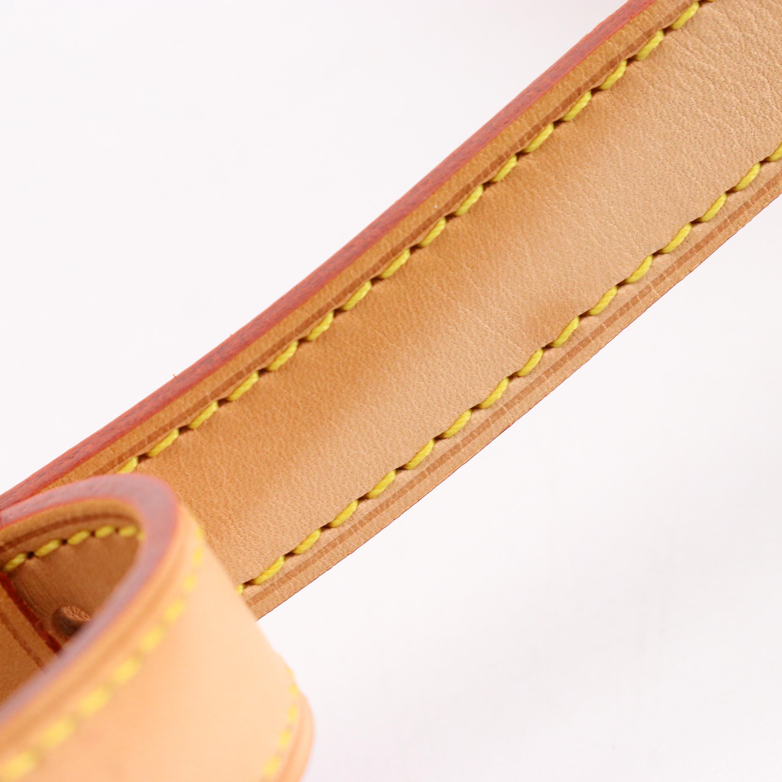 Louis Vuitton Sologne Shoulder Bag in Black Multicolore Canvas and Leather