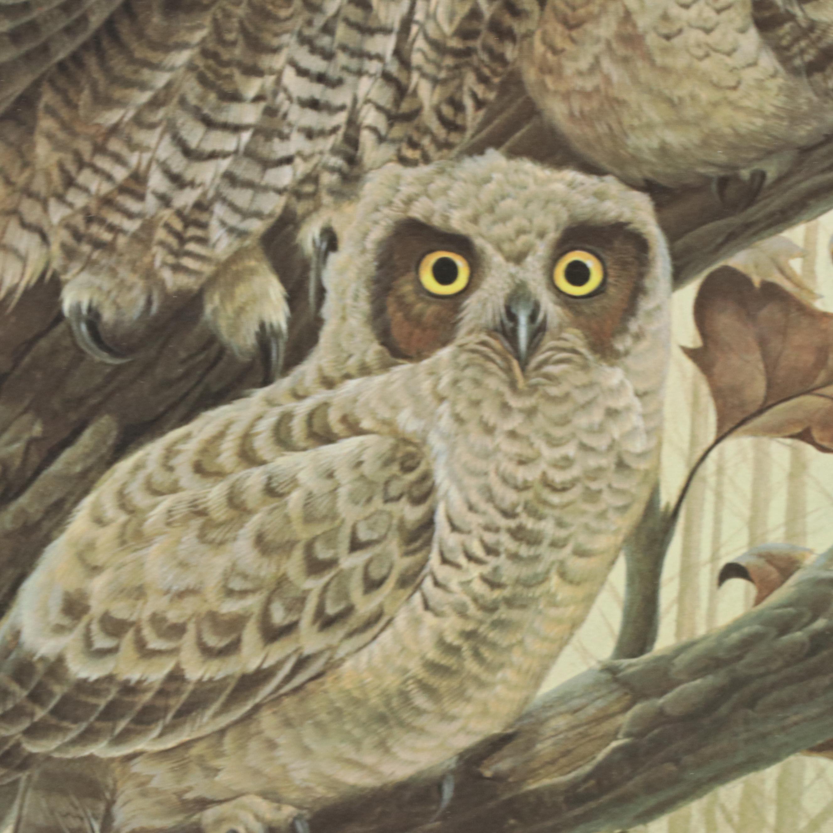 John Ruthven Offset Lithograph "Great Horned Owls"